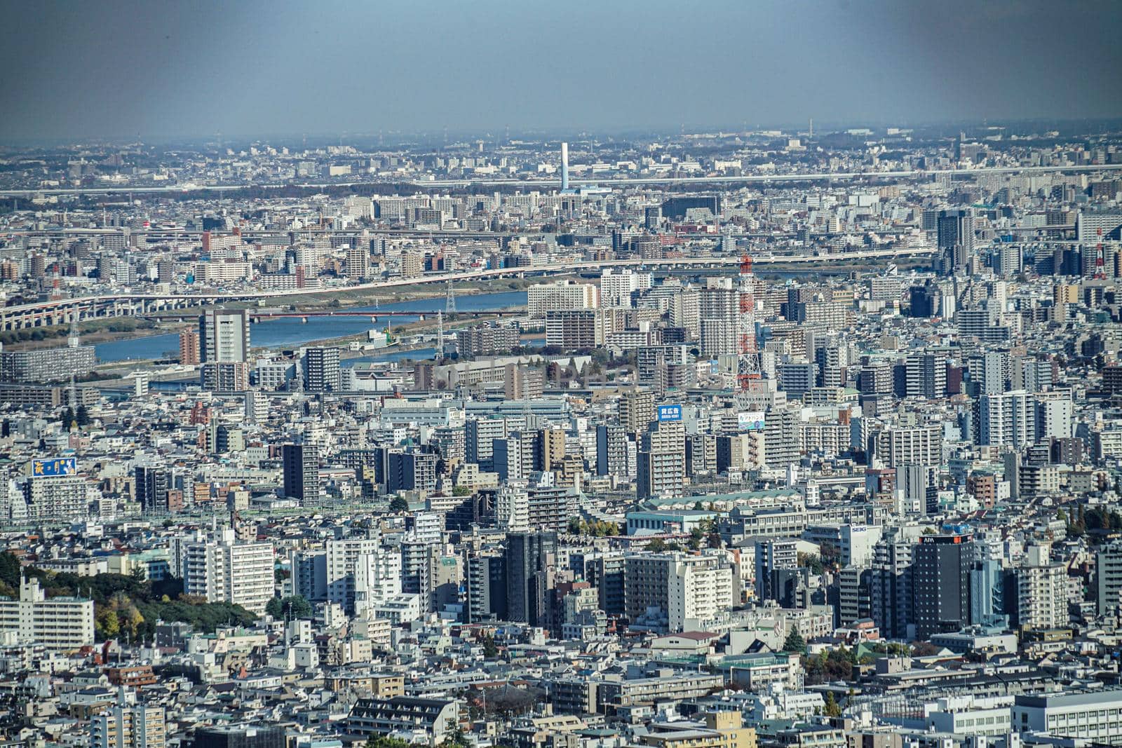 The city of Tokyo seen from the Sunshine 60 observation deck. Shooting Location: Tokyo metropolitan area