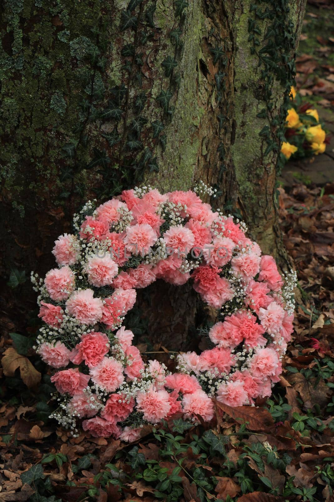 Pink sympathy or funeral flowers near a tree at a cemetery