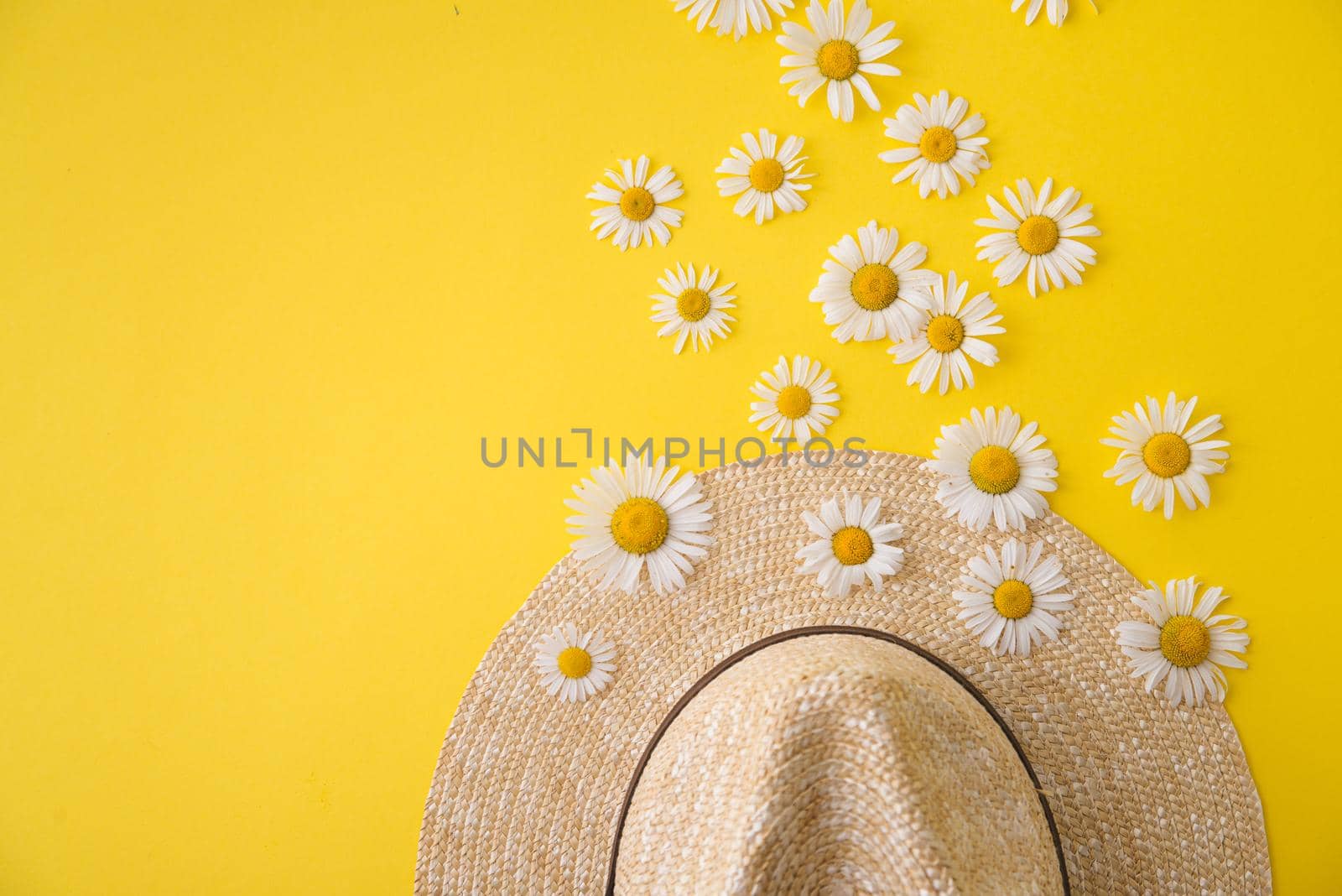 straw hat and daisies around by maramorosz