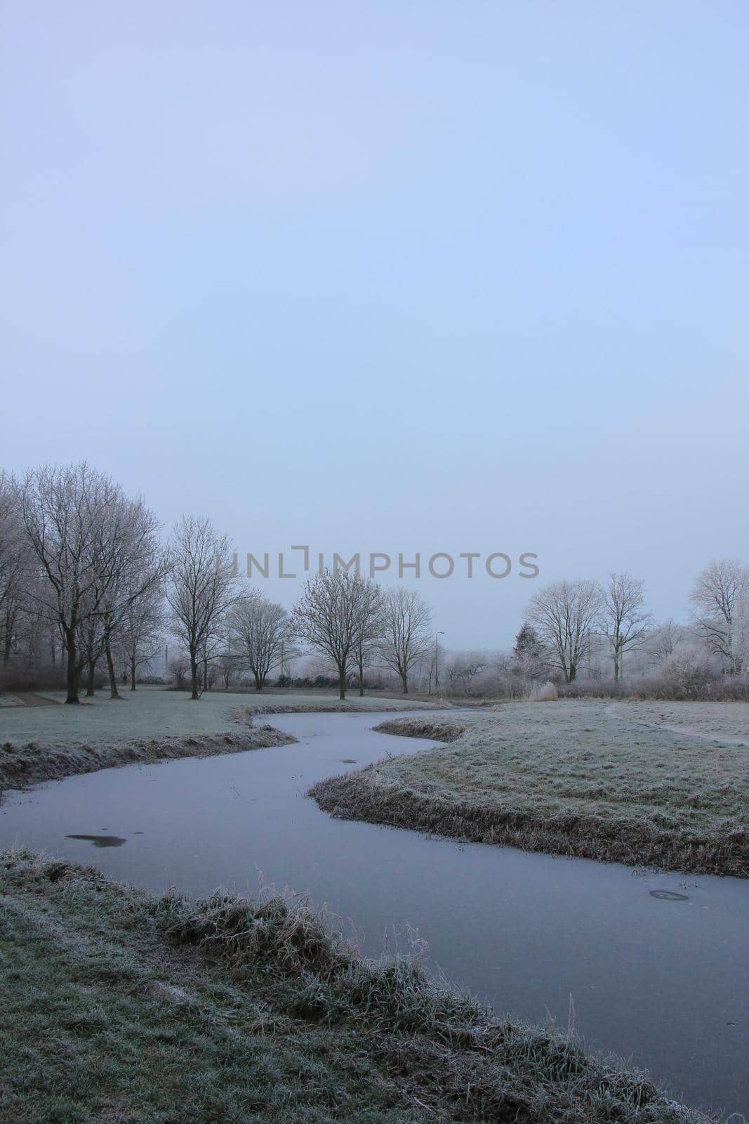 a frozen white winter forest with a ditch