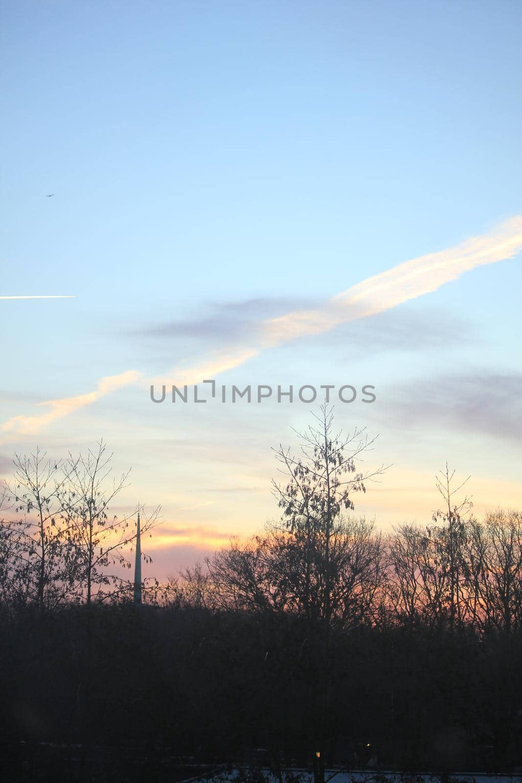 a midwinter sunrise over a dark forest