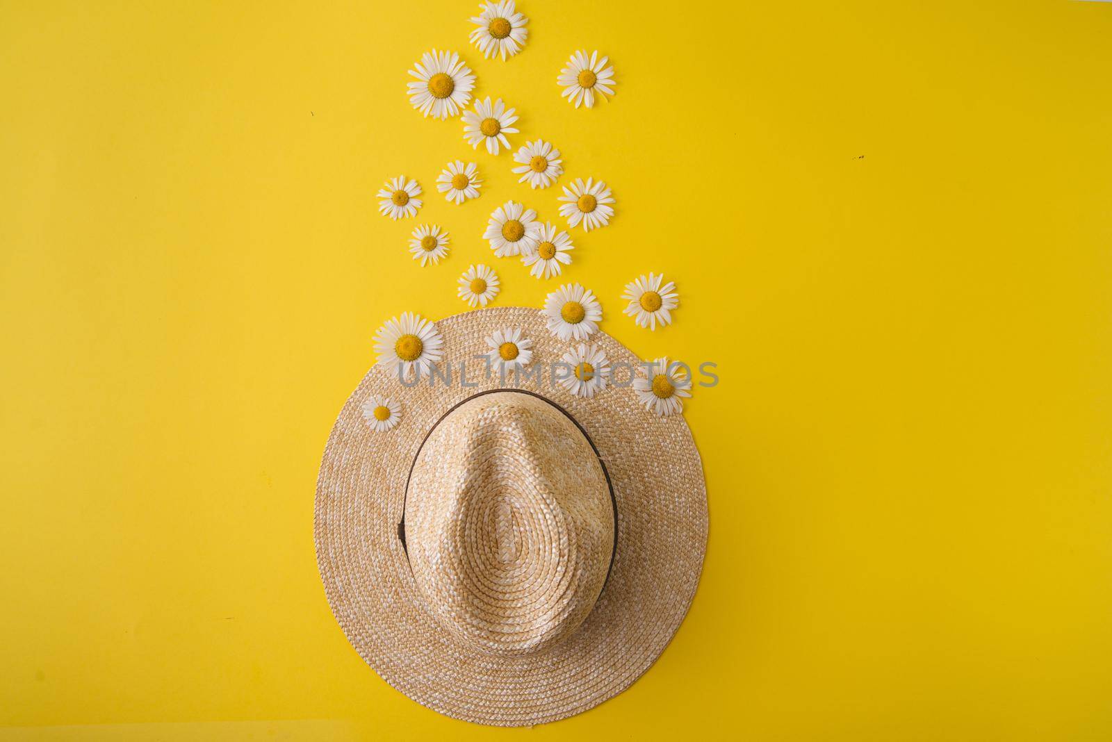 straw hat and daisies around. summer concept