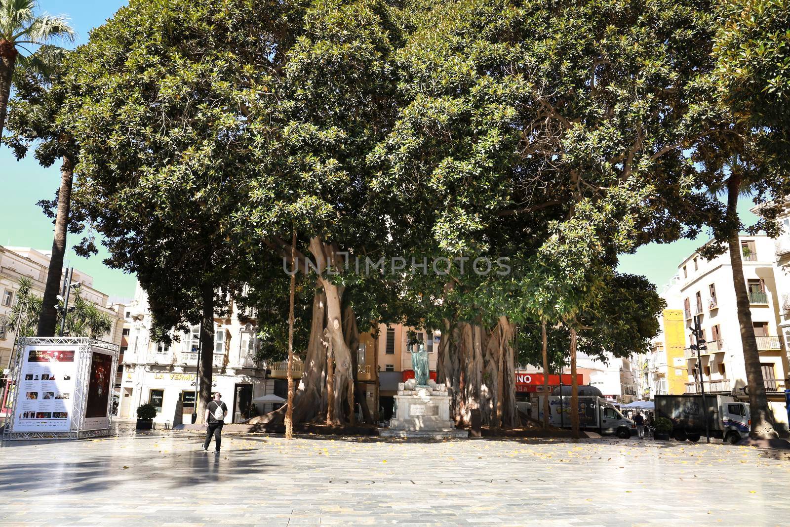 Beautiful San Francisco Square in Cartagena on a sunny day of summer by soniabonet