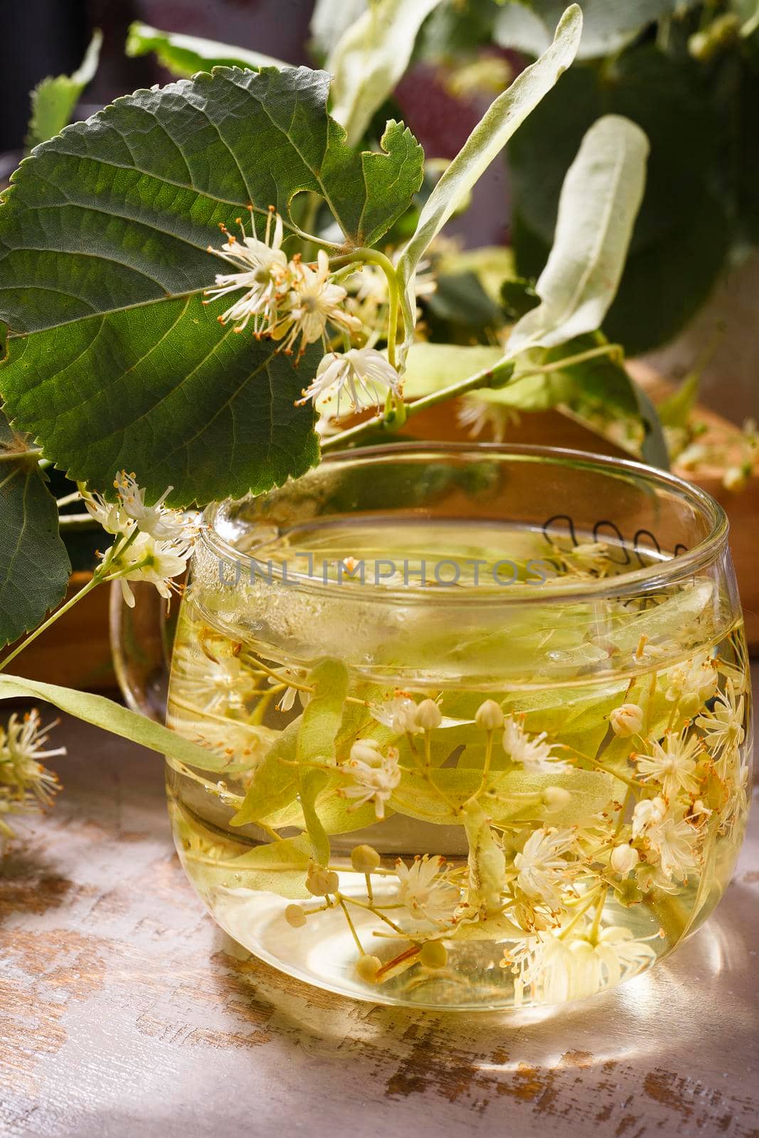 A glass cup of yellow linden tea with a branch of flowering linden tree in the background, selective focus.