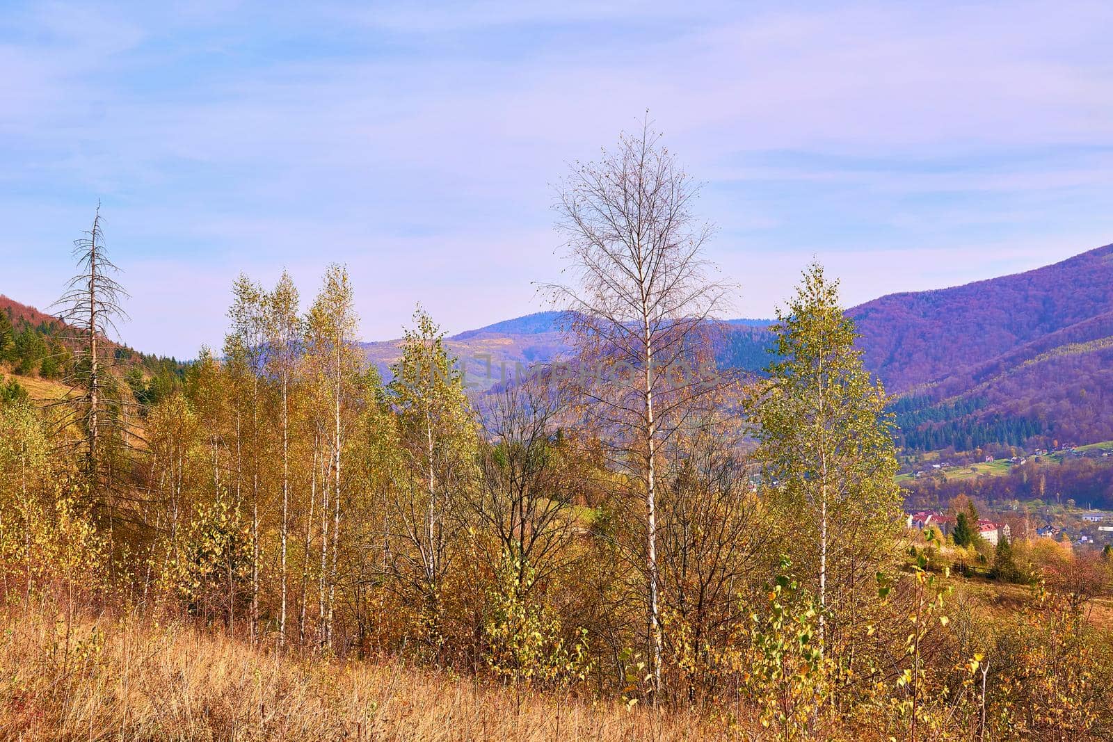 Autumn is one of the four temperate seasons. Outside the tropics, autumn marks the transition from summer to winter. Golden bright autumn in the mountains on a warm day. High quality photo