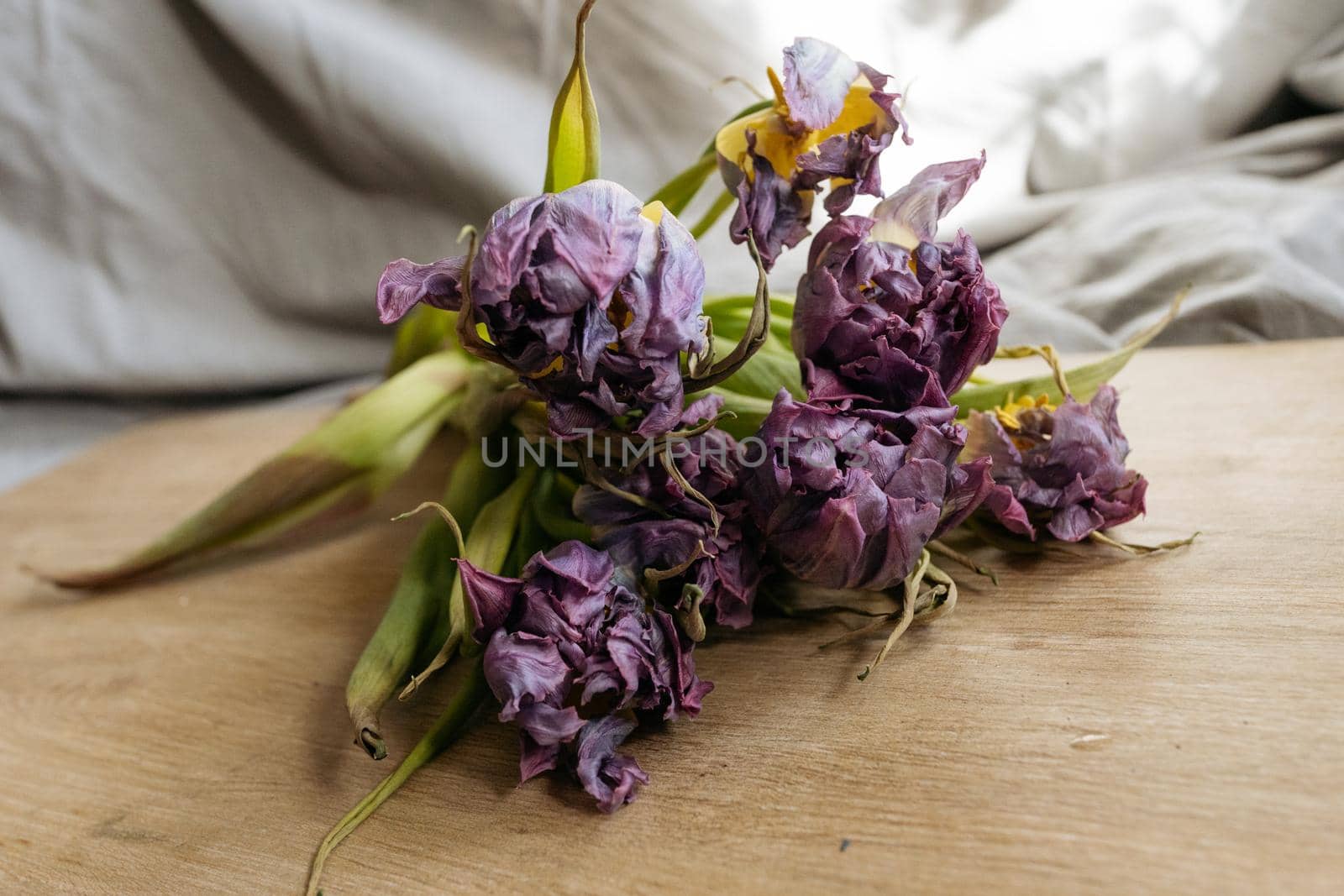 Bouquet of purple tulips laying on a wooden table by Varaksina