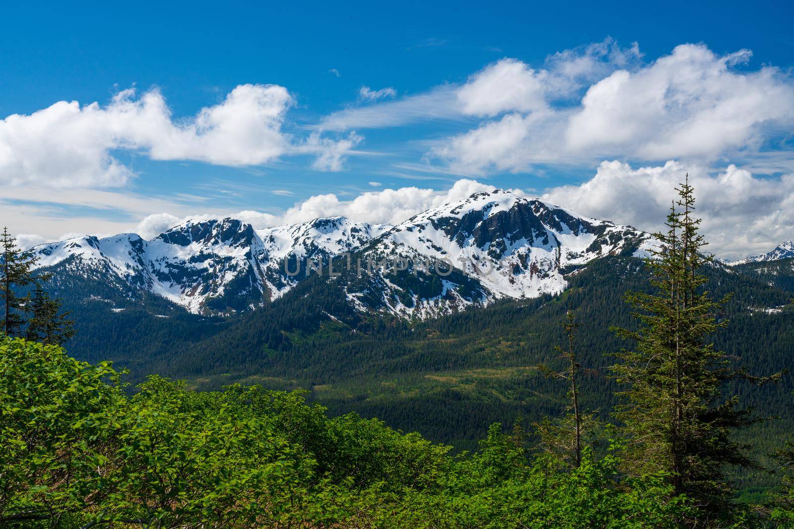 View from top of tram towards Mount Bradley above the city of Juneau in Alaska
