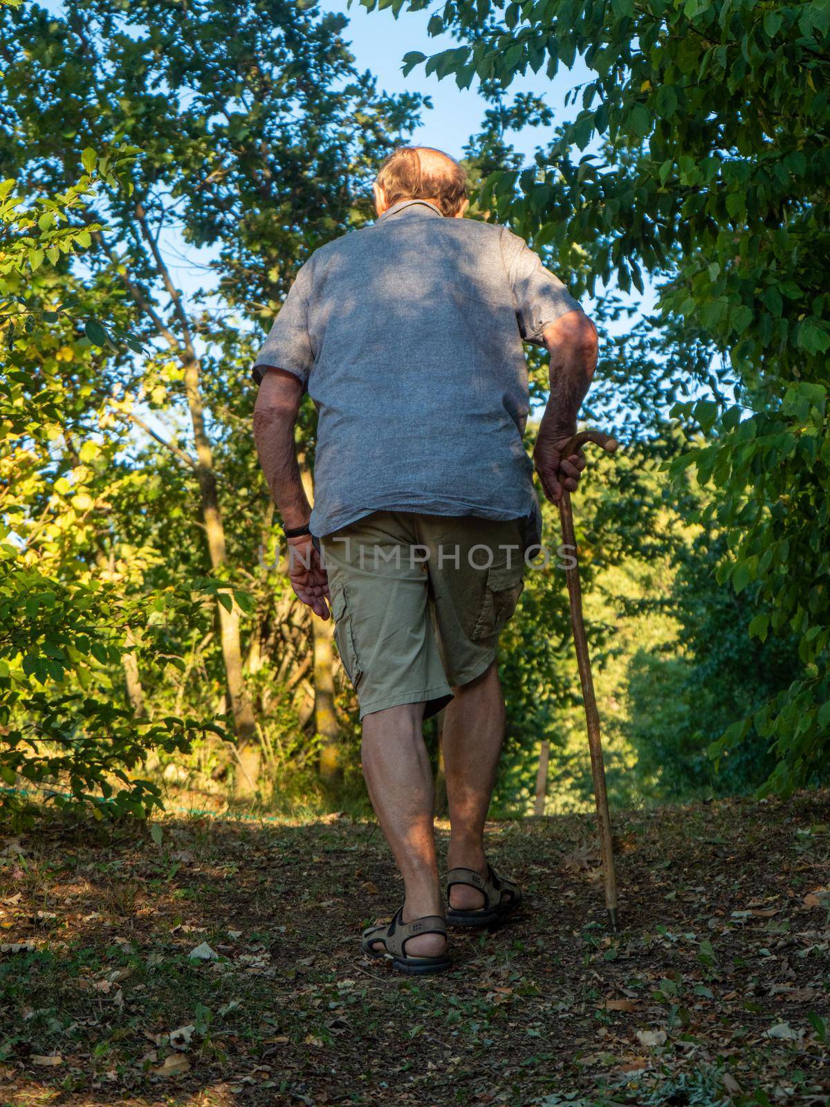 old man with sky pole walking around in garden and farm in summer season