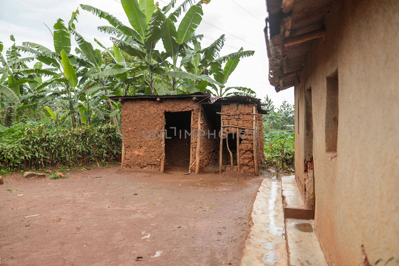 Old traditional house made of animals dung, clay and hay, Rwanda, Africa