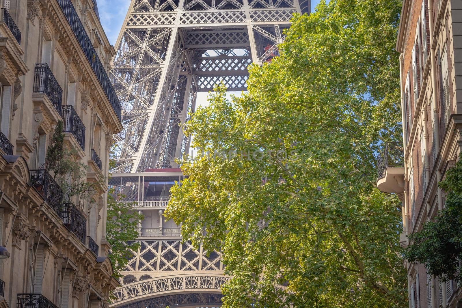Eiffel tower view from trocadero silent corner Paris, France