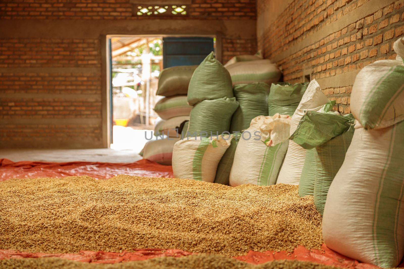 Many bags used in the production of coffee at farm in region of Rwanda