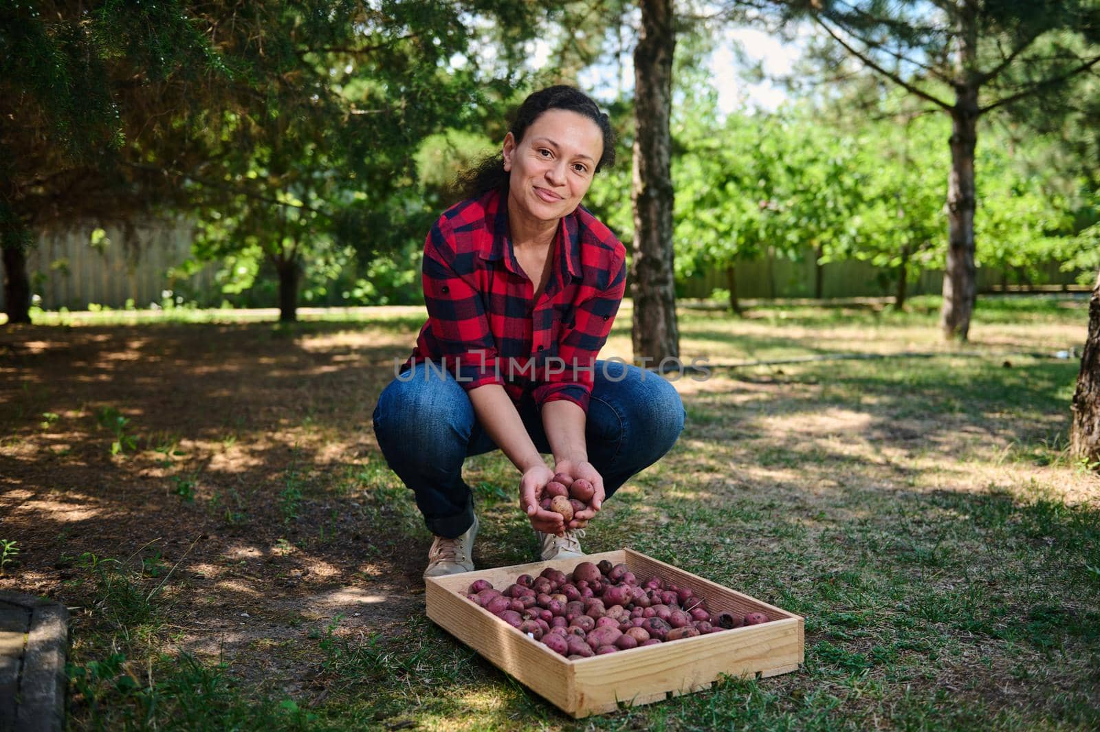 Charming multiethnic woman, successful agriculturist, eco farmer holding a handful of harvested crop of organic potatoes and cutely smiling looking at the camera. Horticulture, gardening, agribusiness