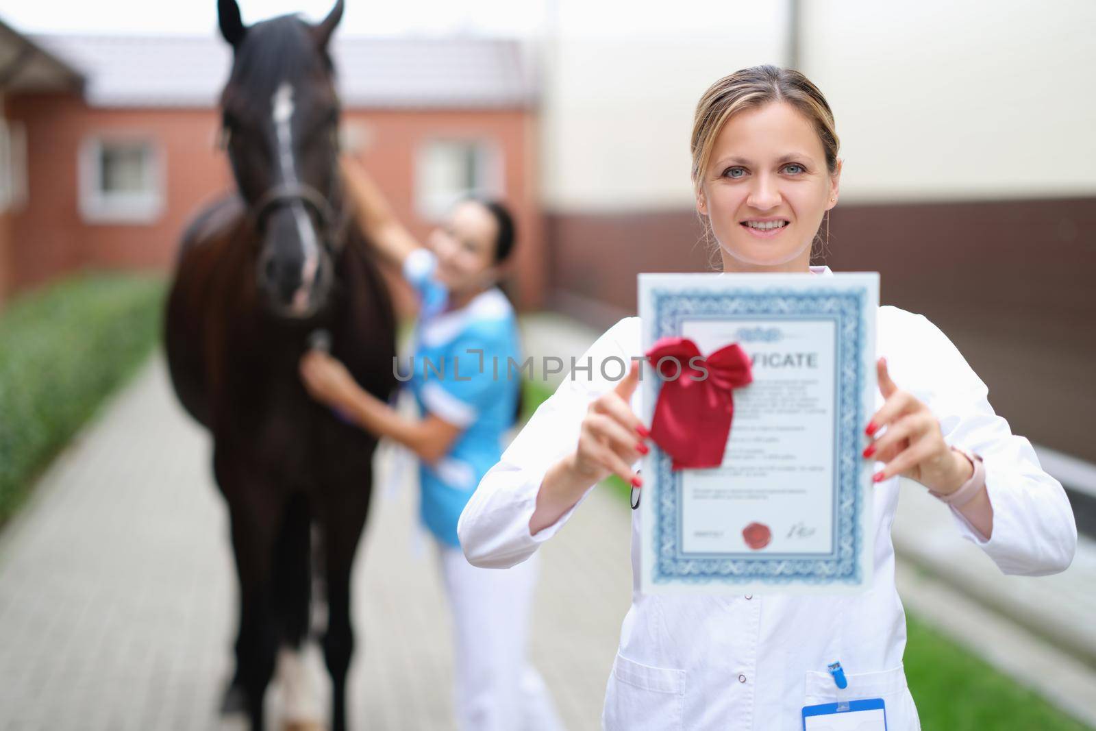 International veterinary certificate for sport horses. Fundamentals of anti-doping control in equestrian sports concept