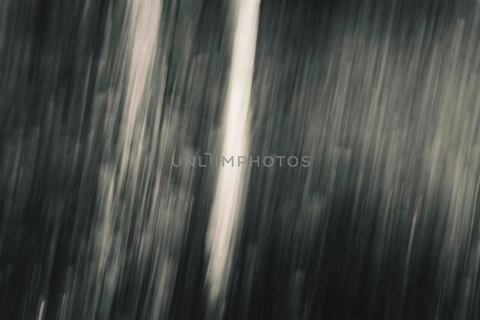 Abstract wood trees background. Camera low shutter panning shot