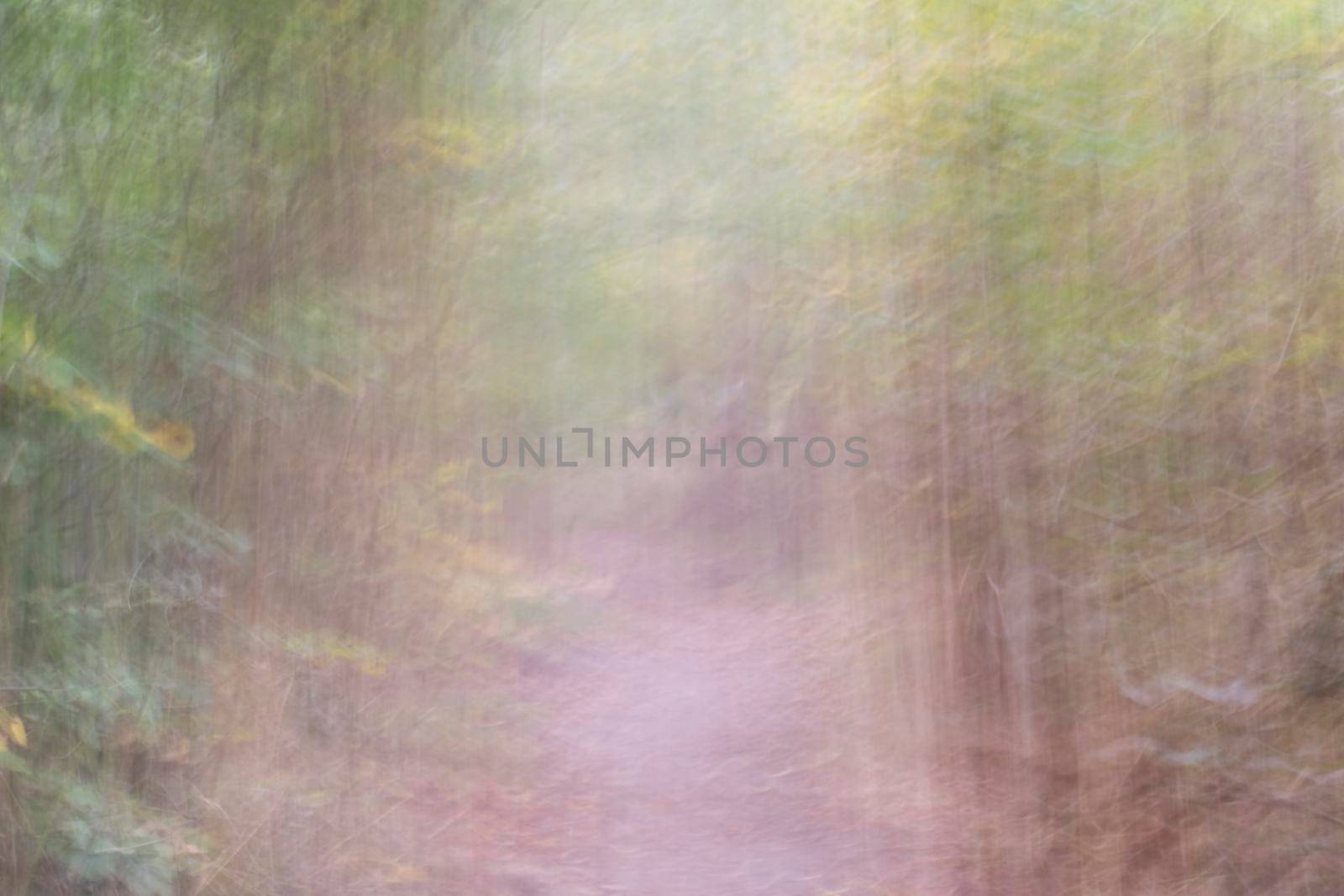 Abstract wood trees background. Camera low shutter panning shot