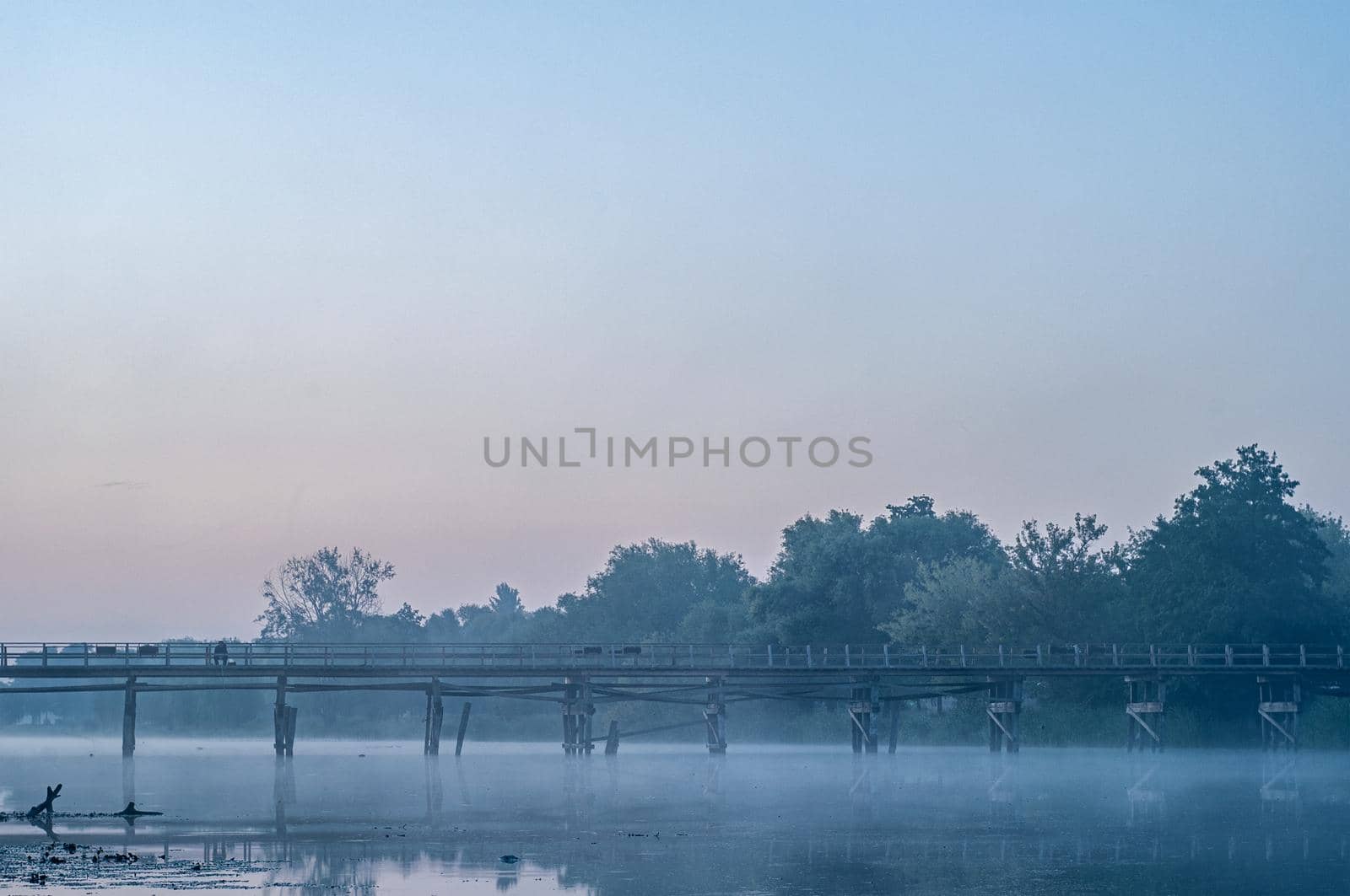 Morning Wooden bridge. Bila Tserkva Ukraine 2019