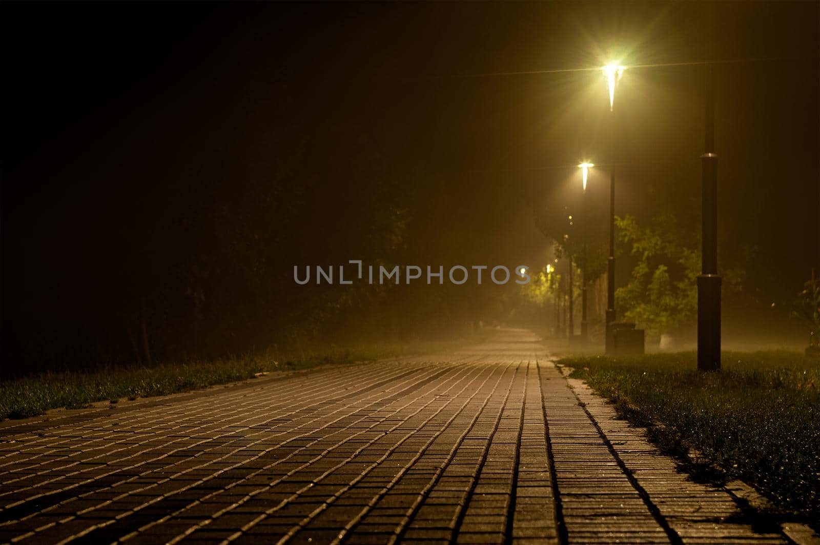 Morning fog in park near river Ros. Bila Tserkva Ukraine 2019