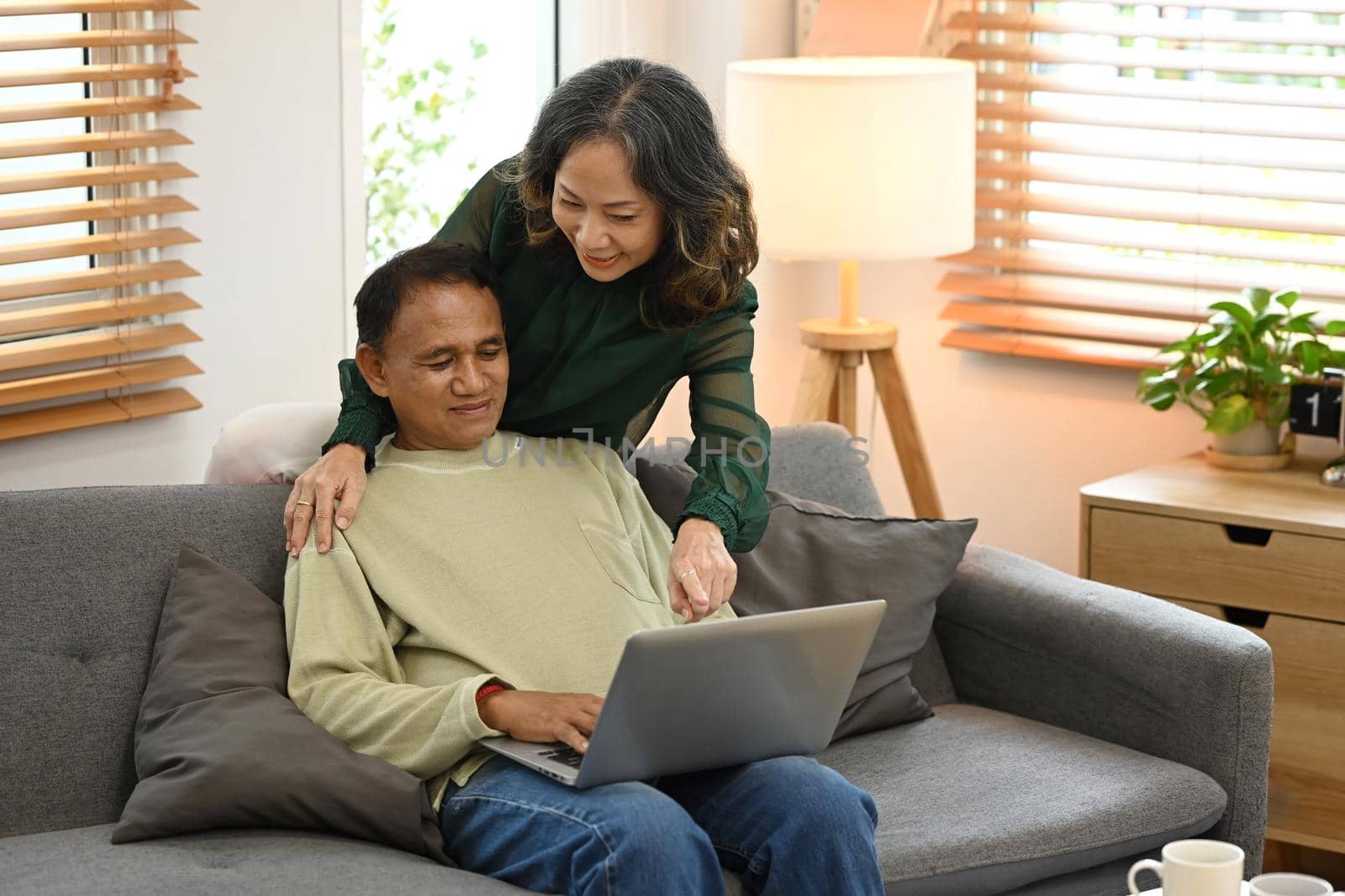Happy retired couple resting on comfortable sofa, surfing internet with laptop computer together in cozy living room.