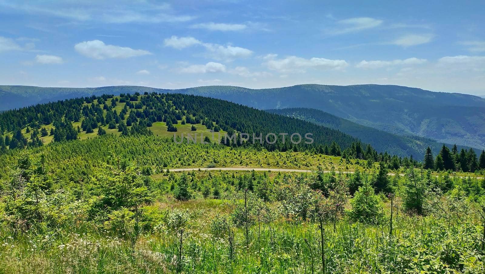 Jeseniky mountains landscape in summer with clear blue sky, Czech Republic.