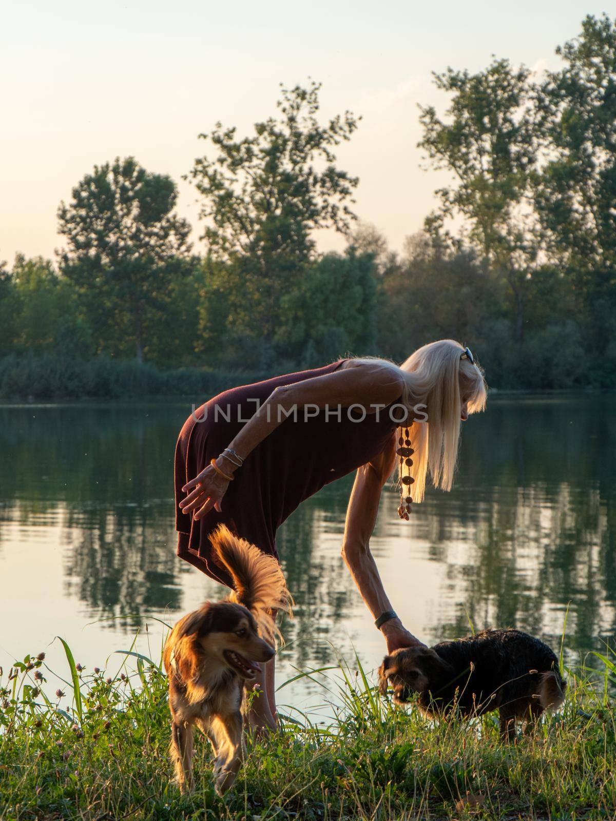 adult fit caucasian woman with dogs relaxing at sunset at the river bank in summer time by verbano