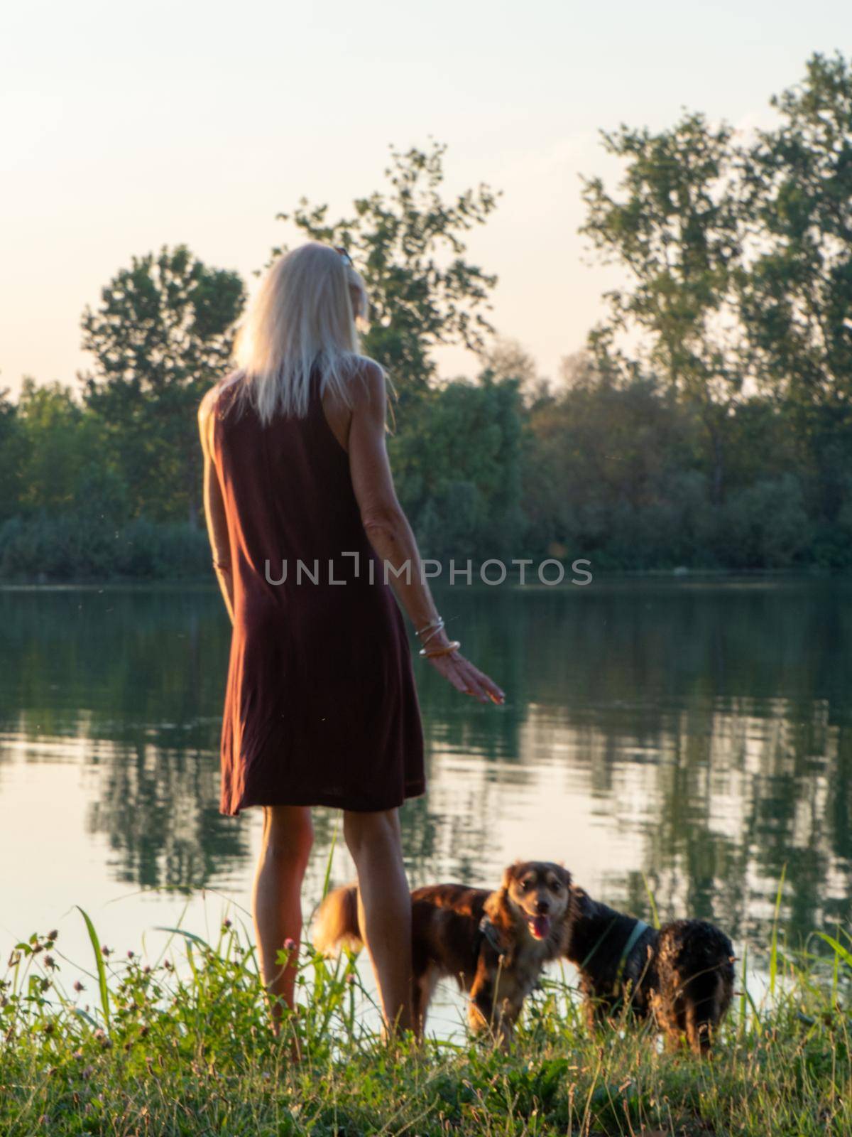 Beautiful woman enjoys holidays at sunset near river with pets company