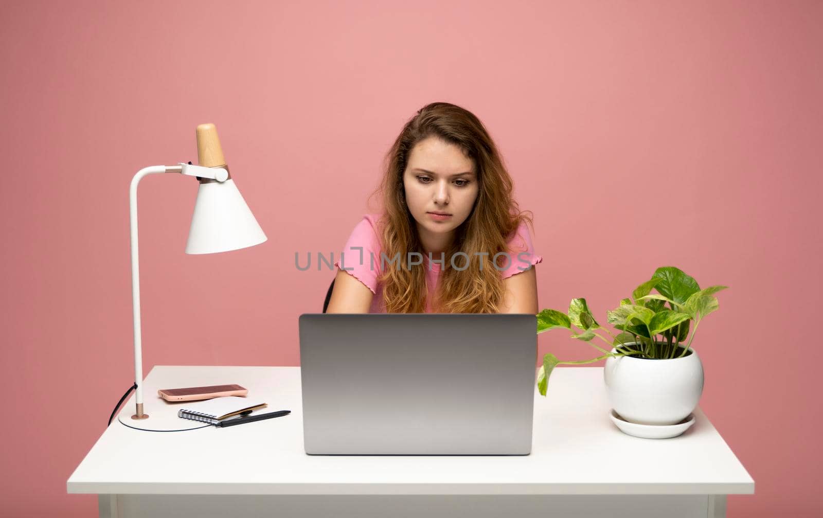 Young freelancer curly woman in a pink t-shirt working with a laptop computer over pink background. Working on a project. Freelance worker