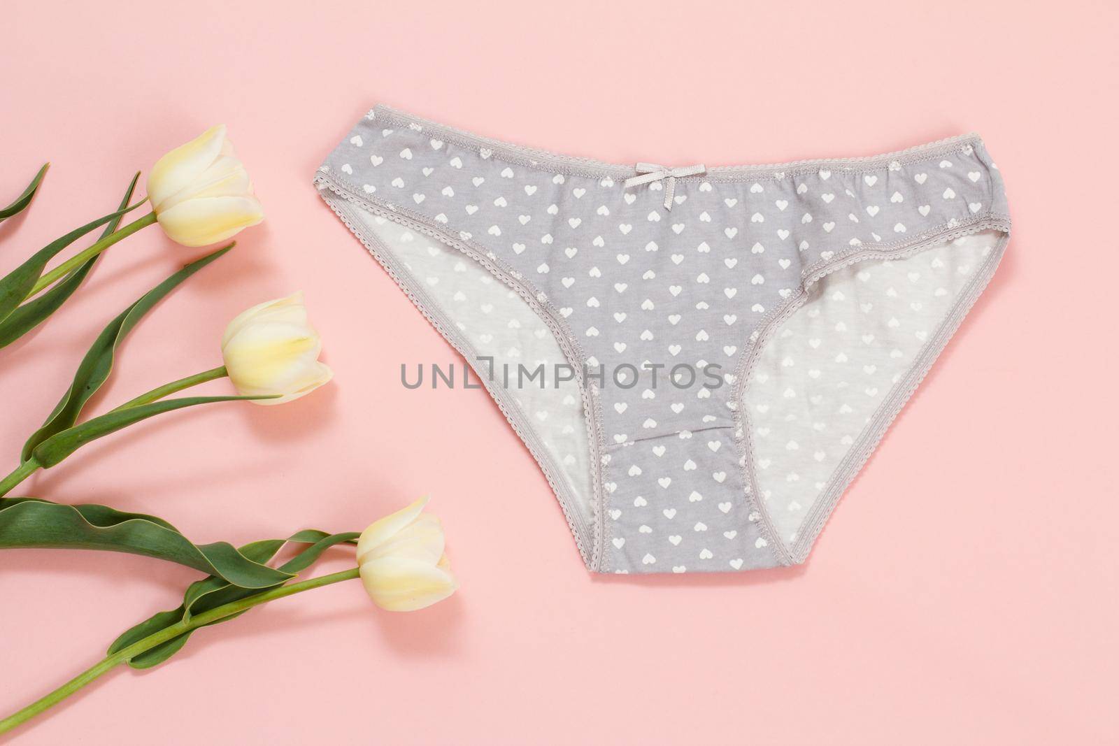 Gray cotton panties with tulip flowers on a pink background. Woman underwear set. Top view.