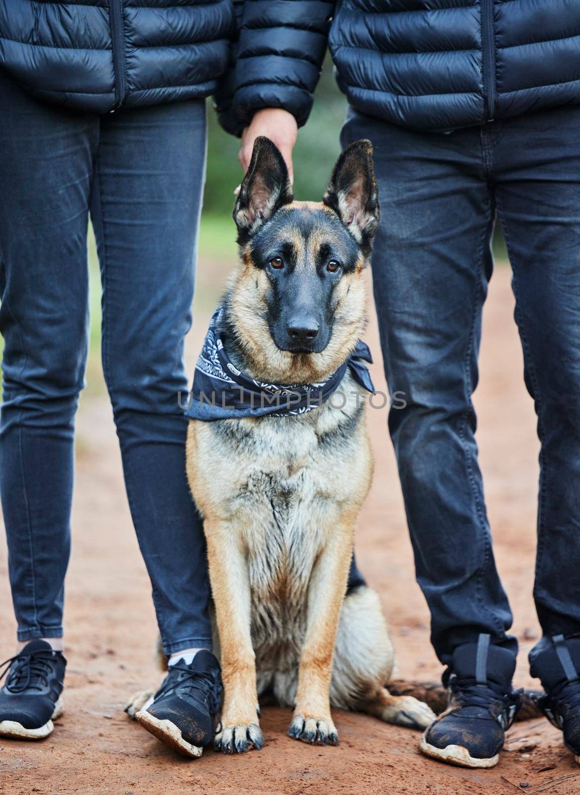 Animals know the secret to staying happy. a man spending quality time with his adorable german shepherd in the park. by YuriArcurs