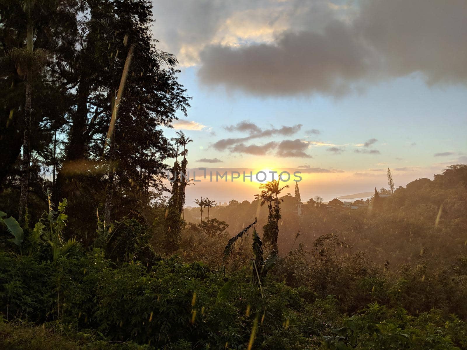 Rainy Sunset past tropical silhouette of trees through the clouds on Oahu, Hawaii.