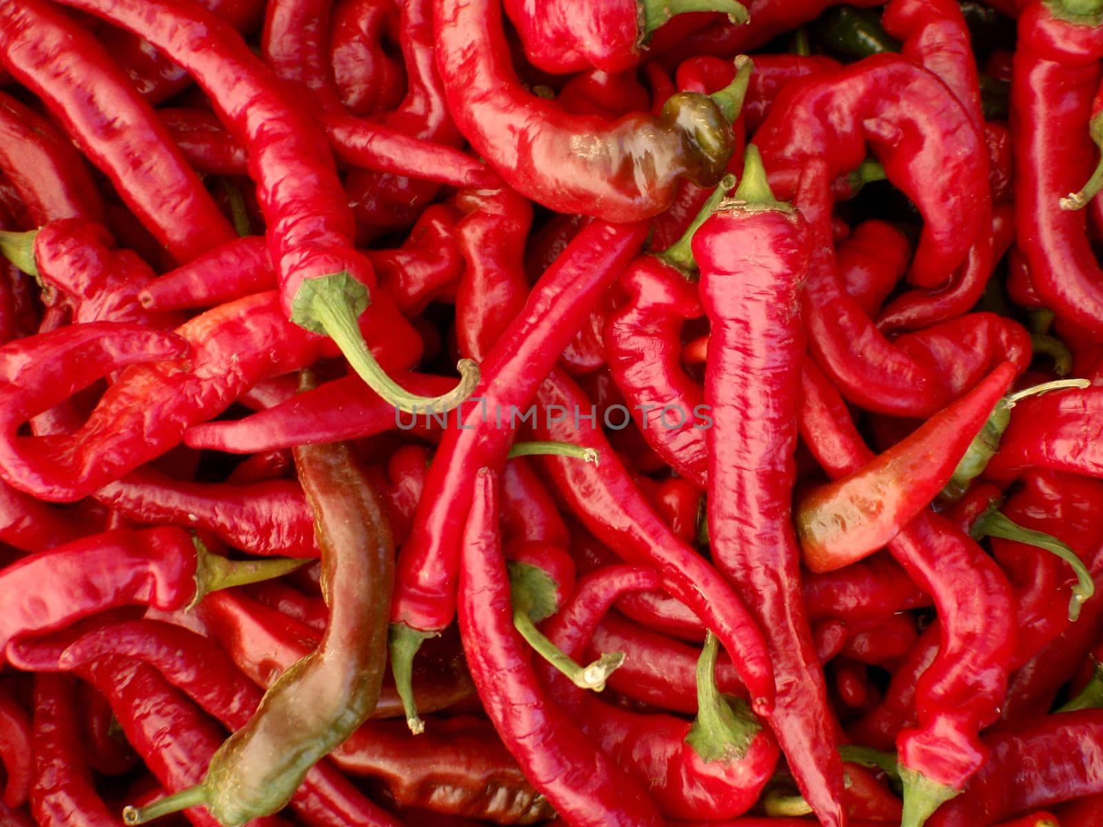 Long Hot Red Peppers for sale at Farmers Market in San Francisco.