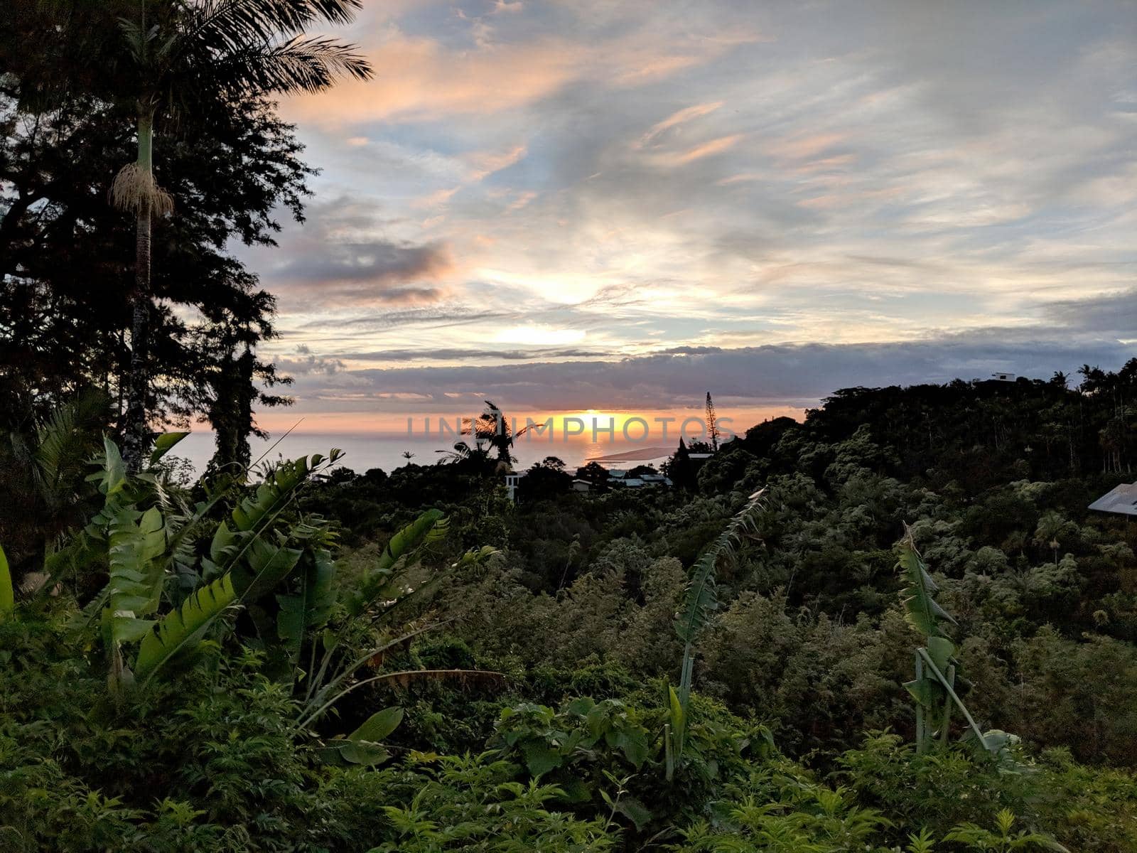 Sunset over the airport past tropical silhouette of trees through the clouds on Oahu, Hawaii.