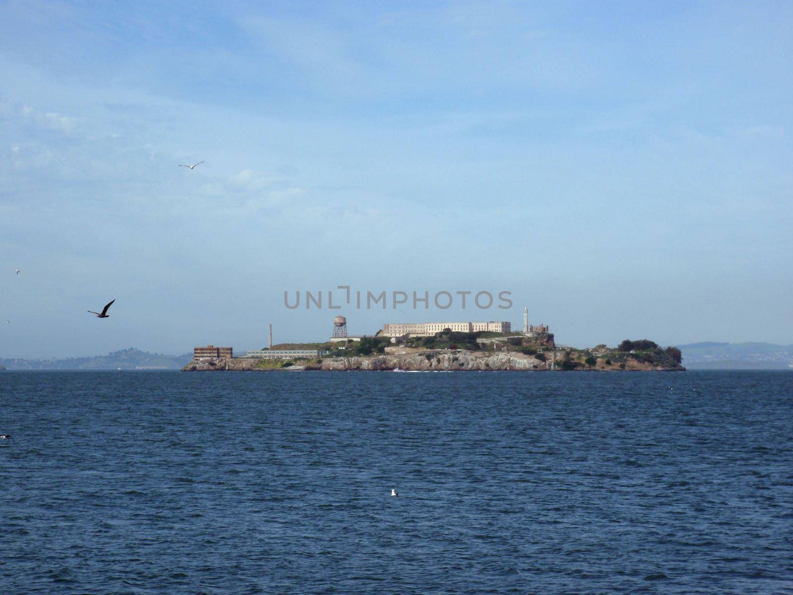 Alcatraz Island with Seagulls in flight by EricGBVD