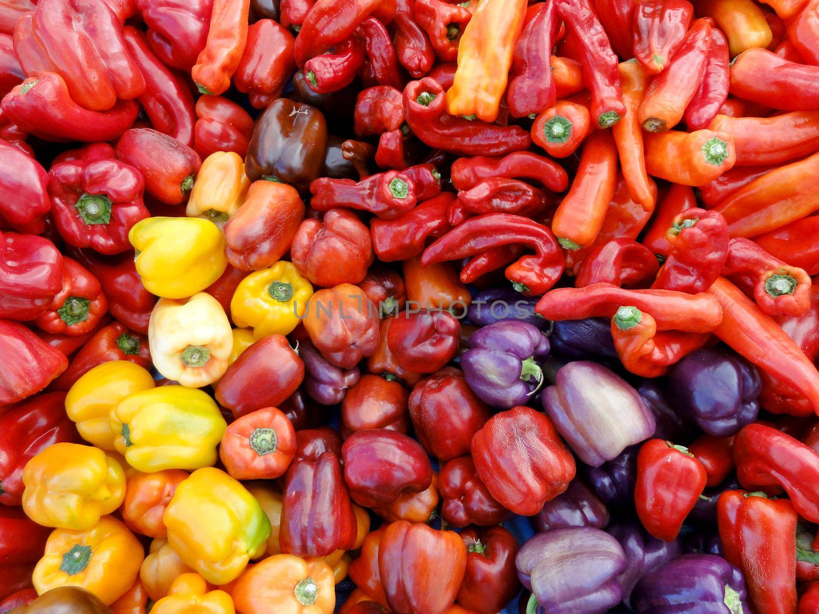 Mix of colors and types of Peppers at a farmers market in San Francisco