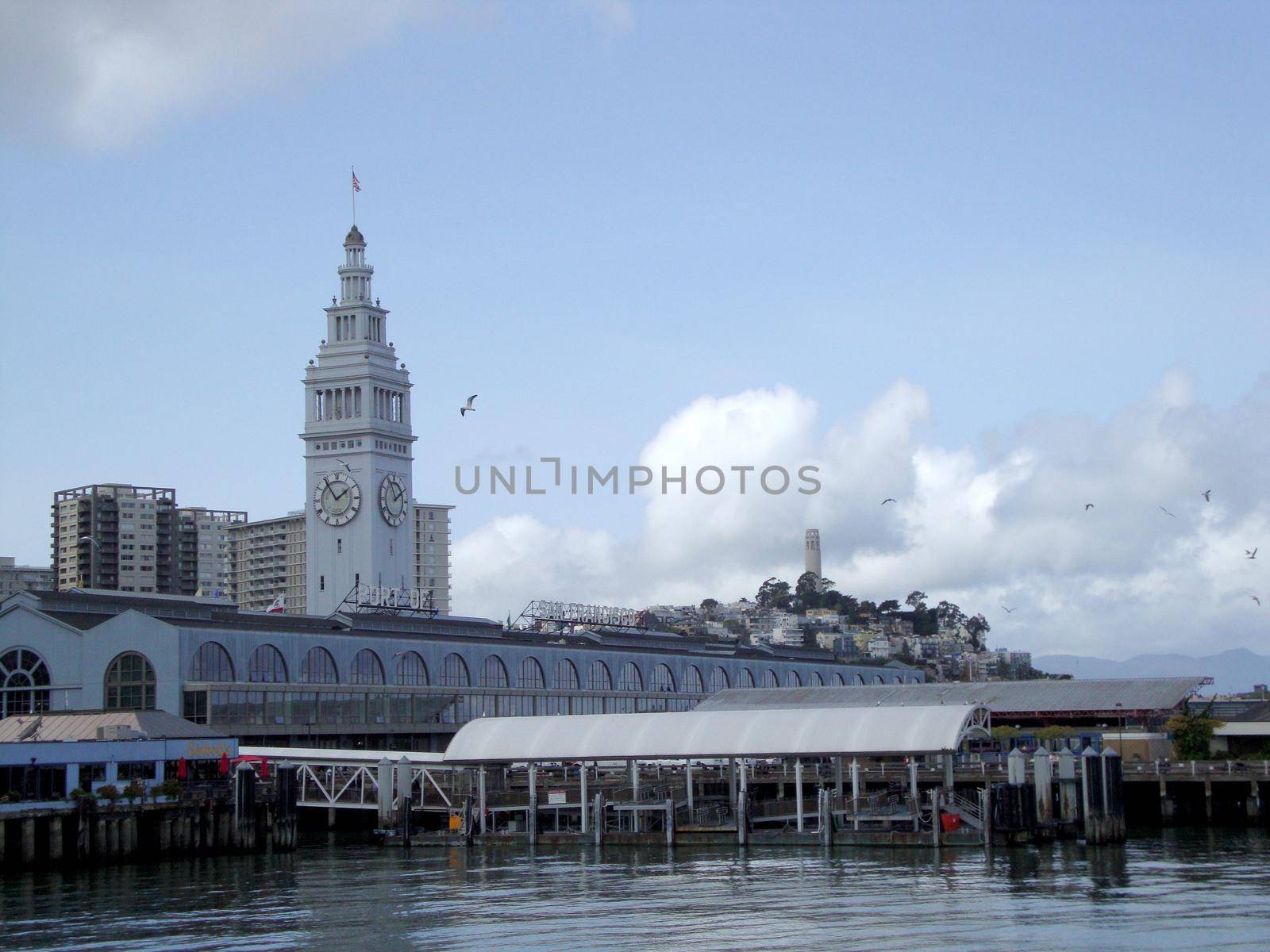 San Francisco -  March 25, 2010: Port of San Francisco Ferry building, Coit Tower, cityscape of Downtown San Francisco on a clear day with birds in the air.  California.