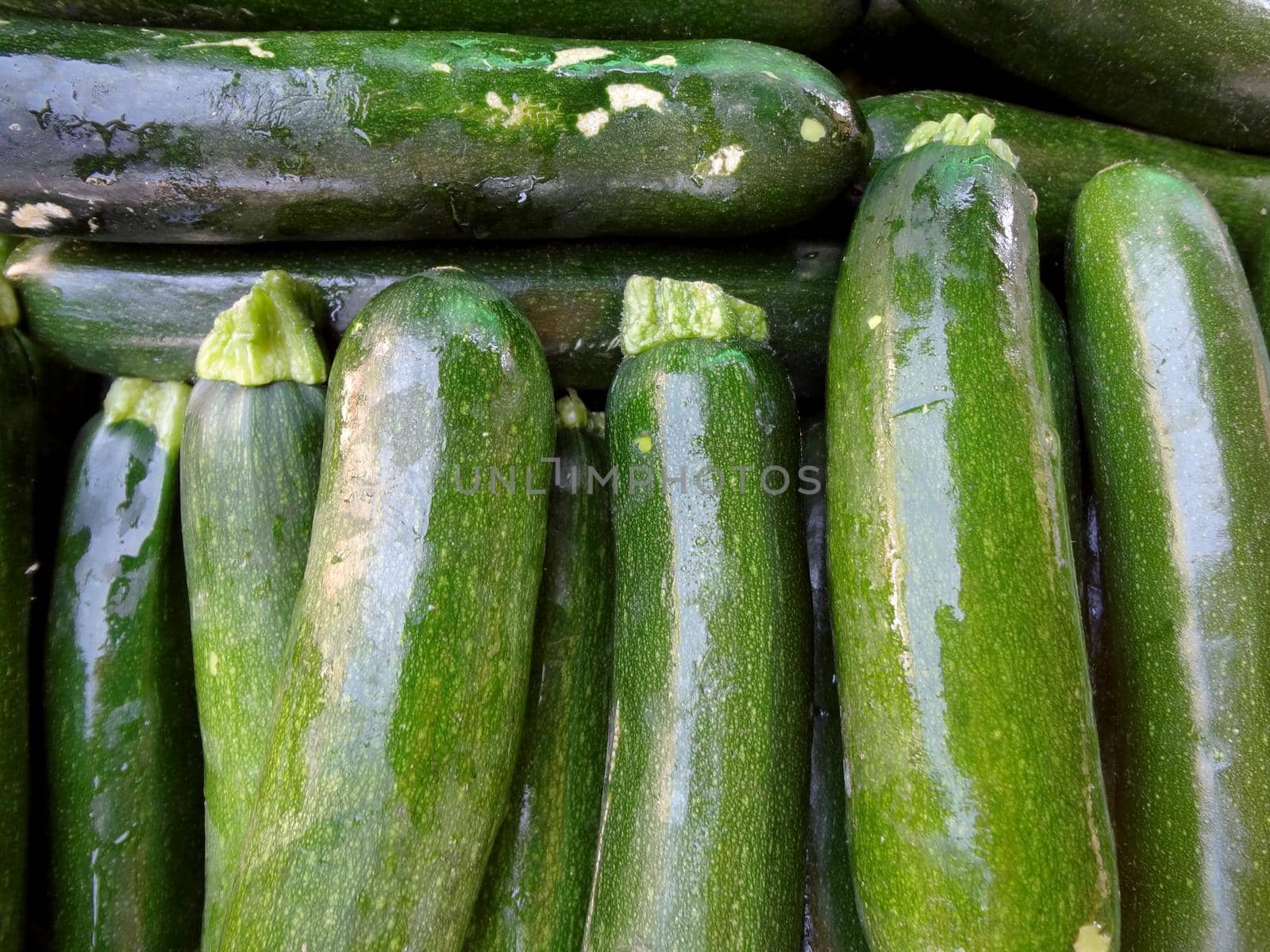 Zucchini for sale at Farmers Market by EricGBVD
