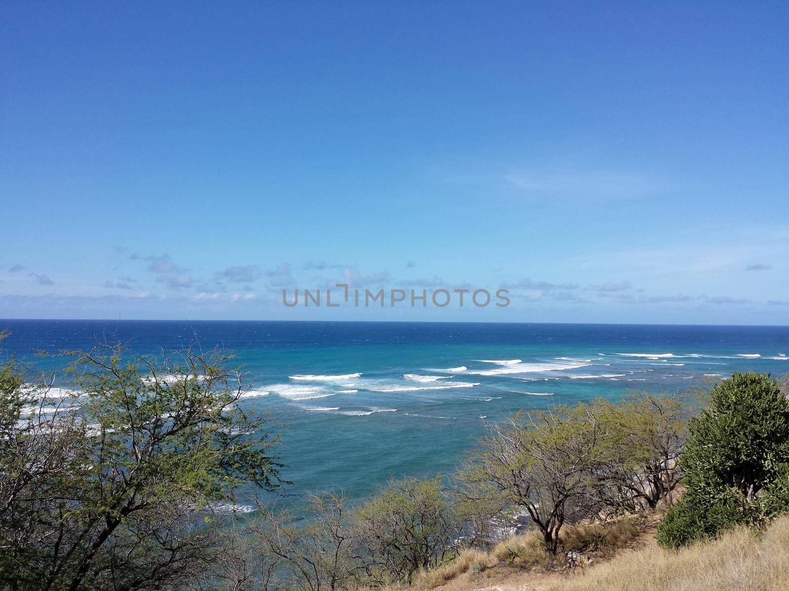 Ocean view from Diamond Head Lookout with waves rolling towards shore and tree on hillside on Oahu, Hawaii on a Beautiful day.             