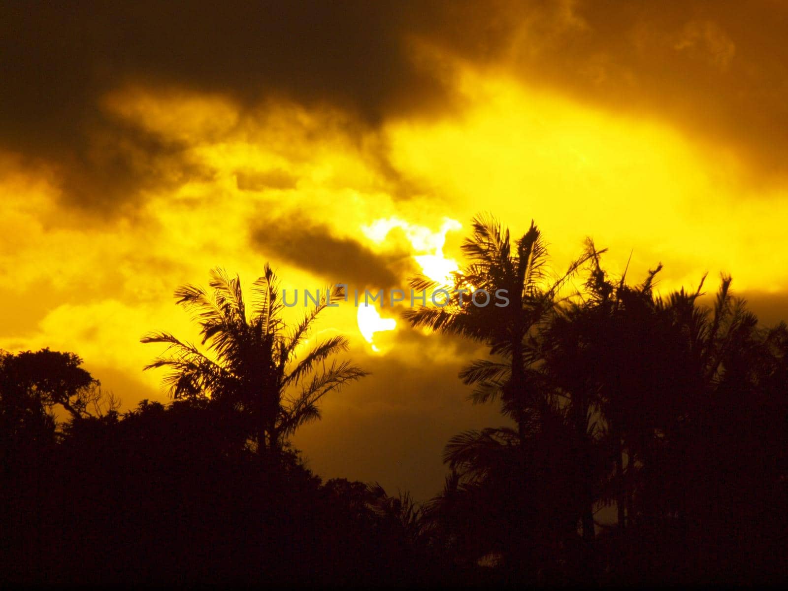 Sunset past tropical silhouette of trees through the clouds on Oahu, Hawaii.