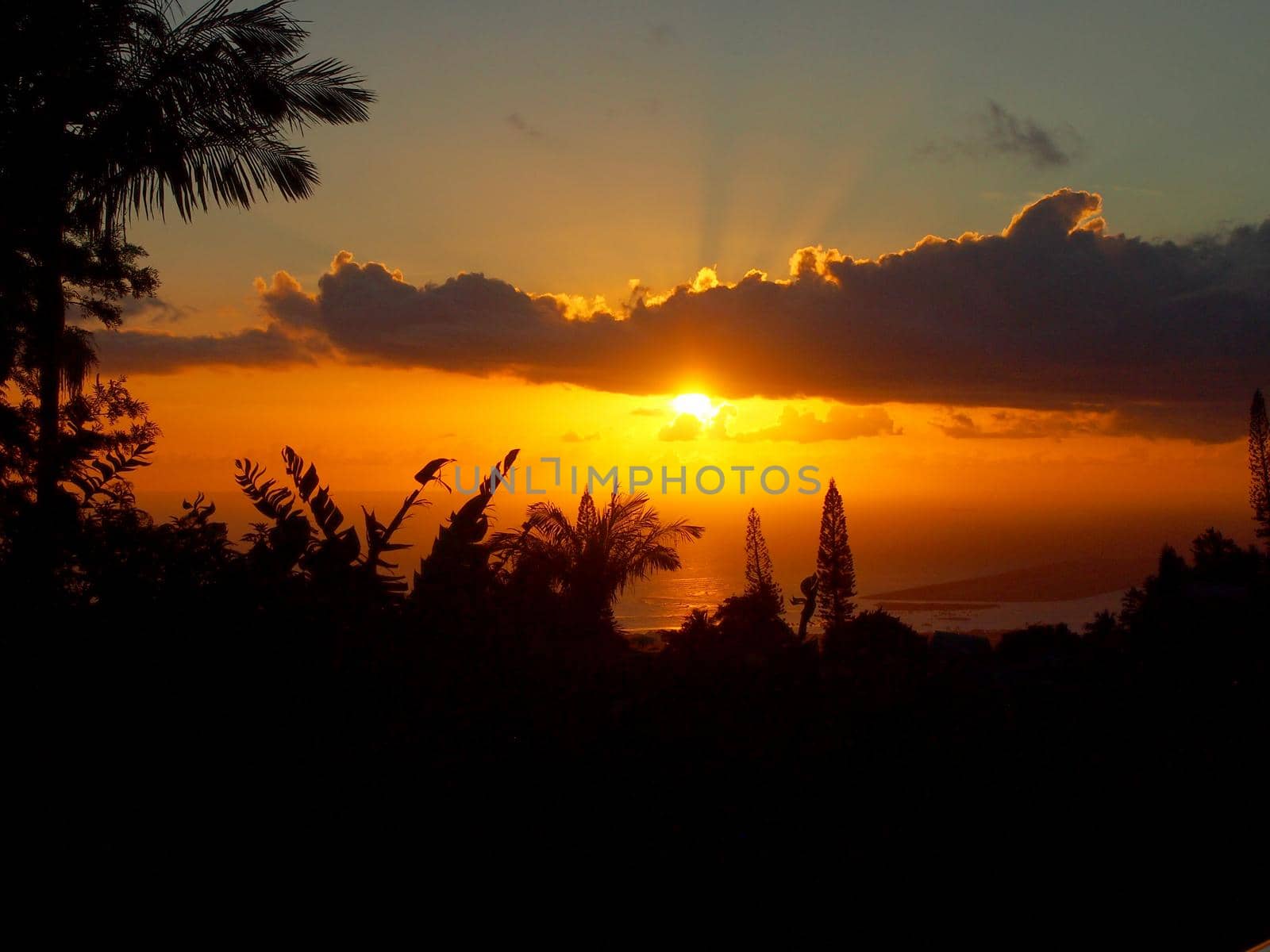 Sunset past tropical silhouette of trees over the ocean through the clouds with reef airport visible on Oahu, Hawaii.