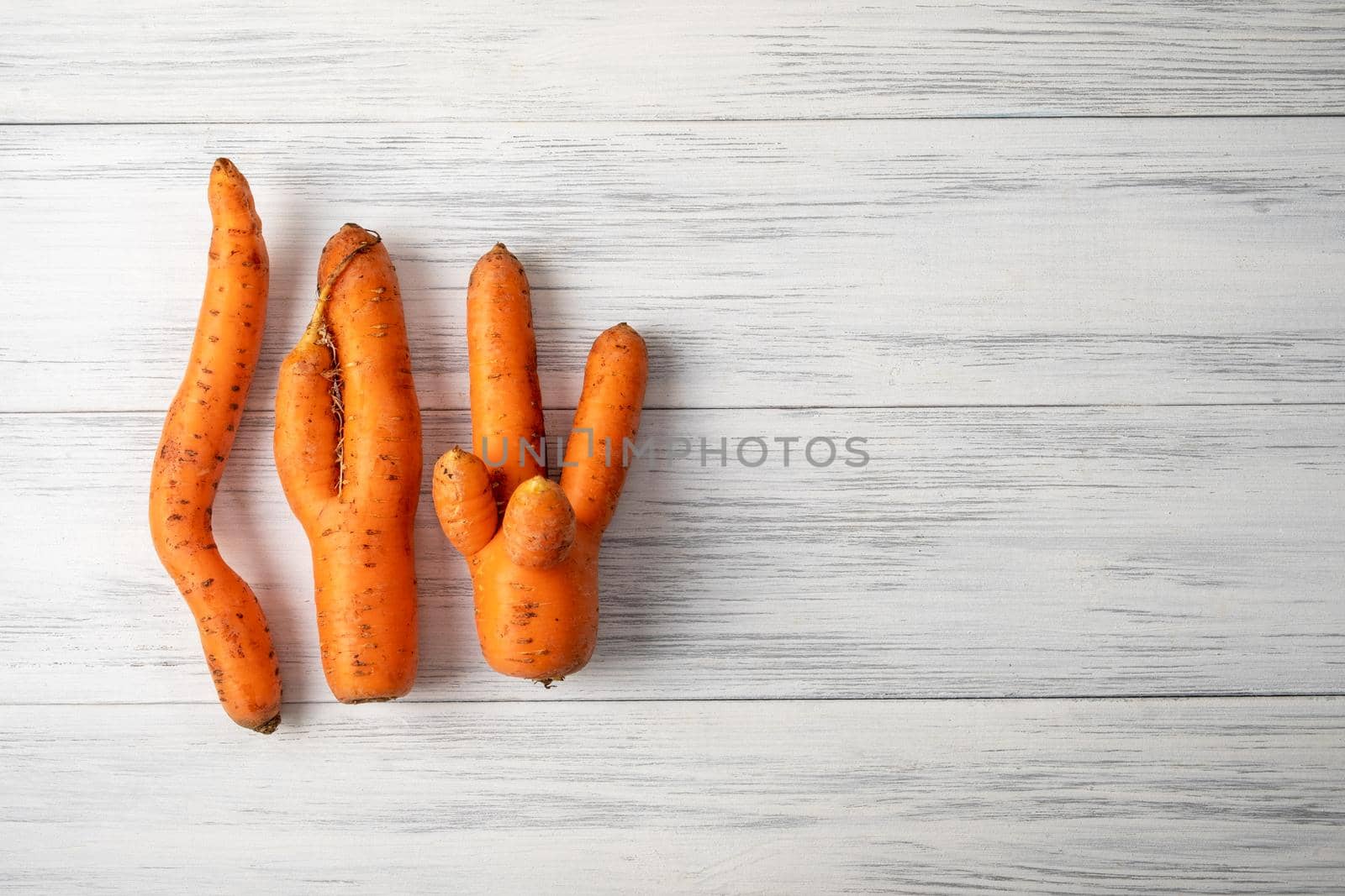 Top view close-up of several ripe orange ugly carrots lie on a light wooden surface with copy space for text. Selective focus.