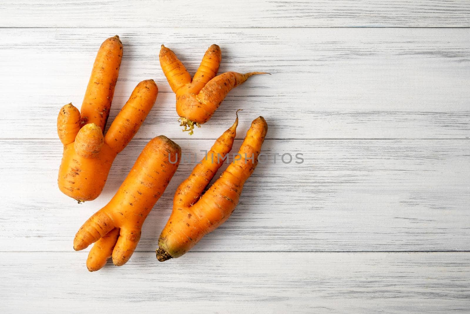 Top view close-up of several ripe orange ugly carrots lie on a light wooden surface with copy space for text. Selective focus.