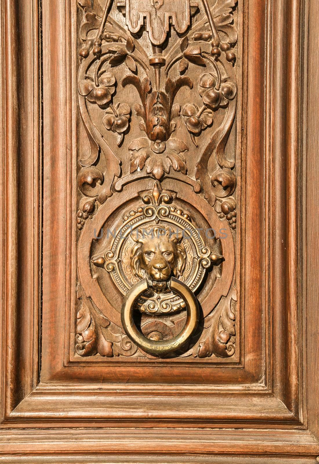 Beautiful carved wooden door and vintage lion face shaped knocker in Spain