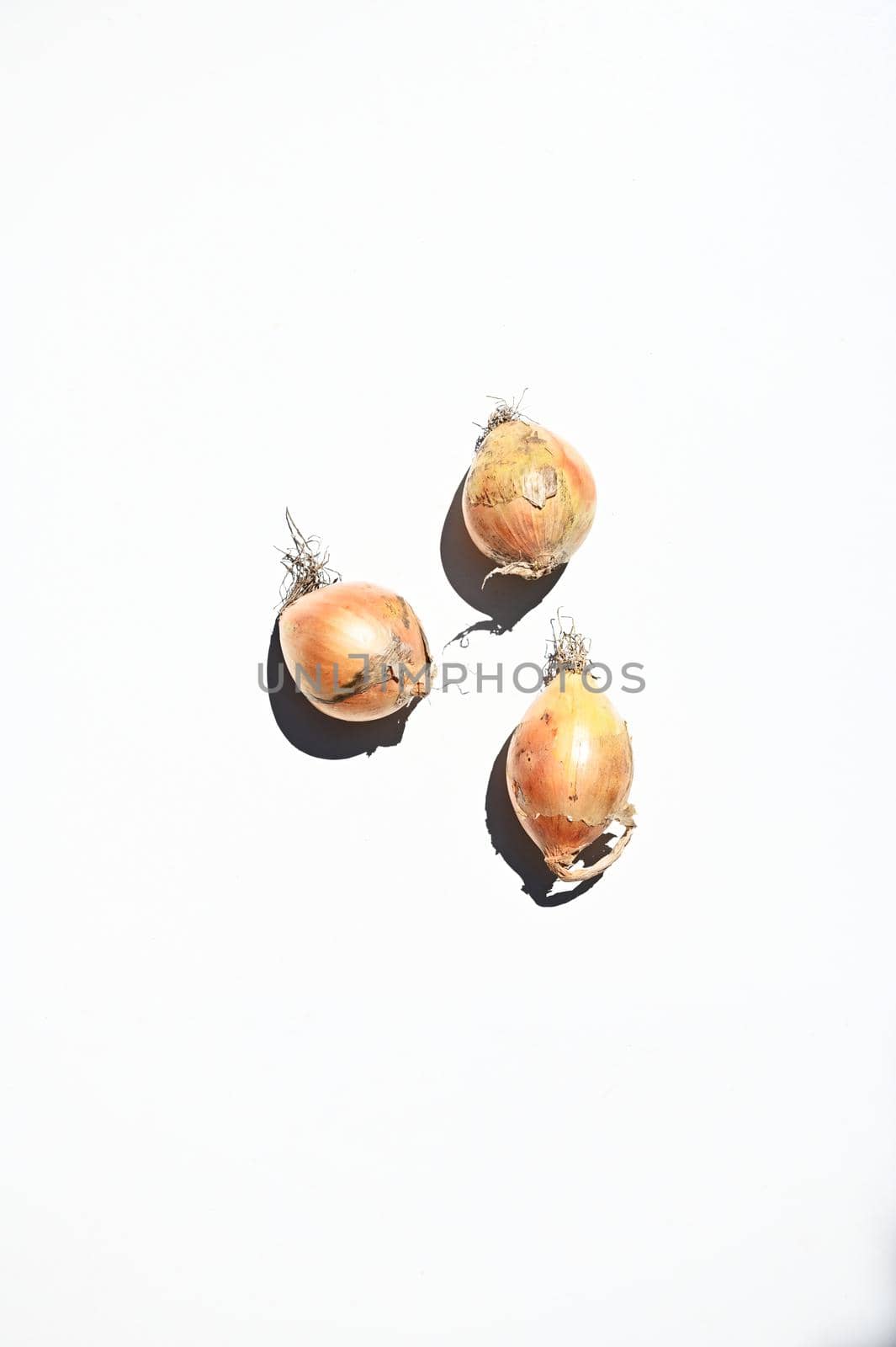 Flay lay of composition of three raw onions, isolated on white background with copy space for advertising text. Web banner. Vertical studio shot