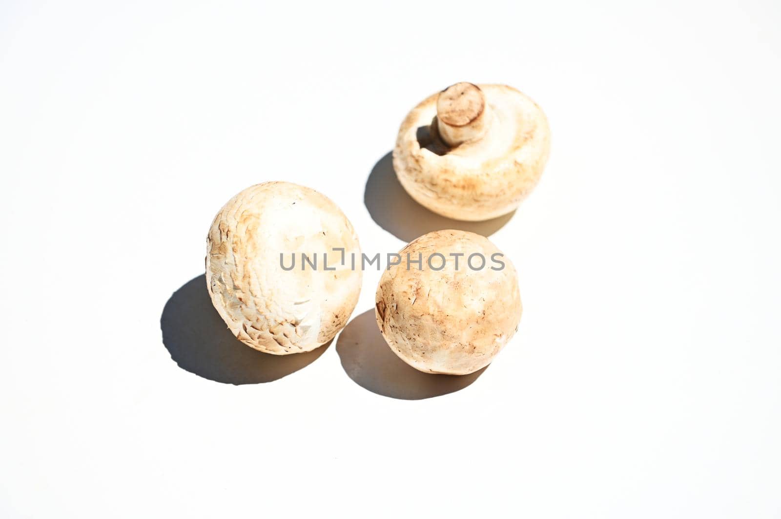 Horizontal studio shot. Edible raw mushrooms champignons, isolated on a white background with copy space for advertising text or web banner. Top view. Flat lay. Still life. Food composition. Vegan