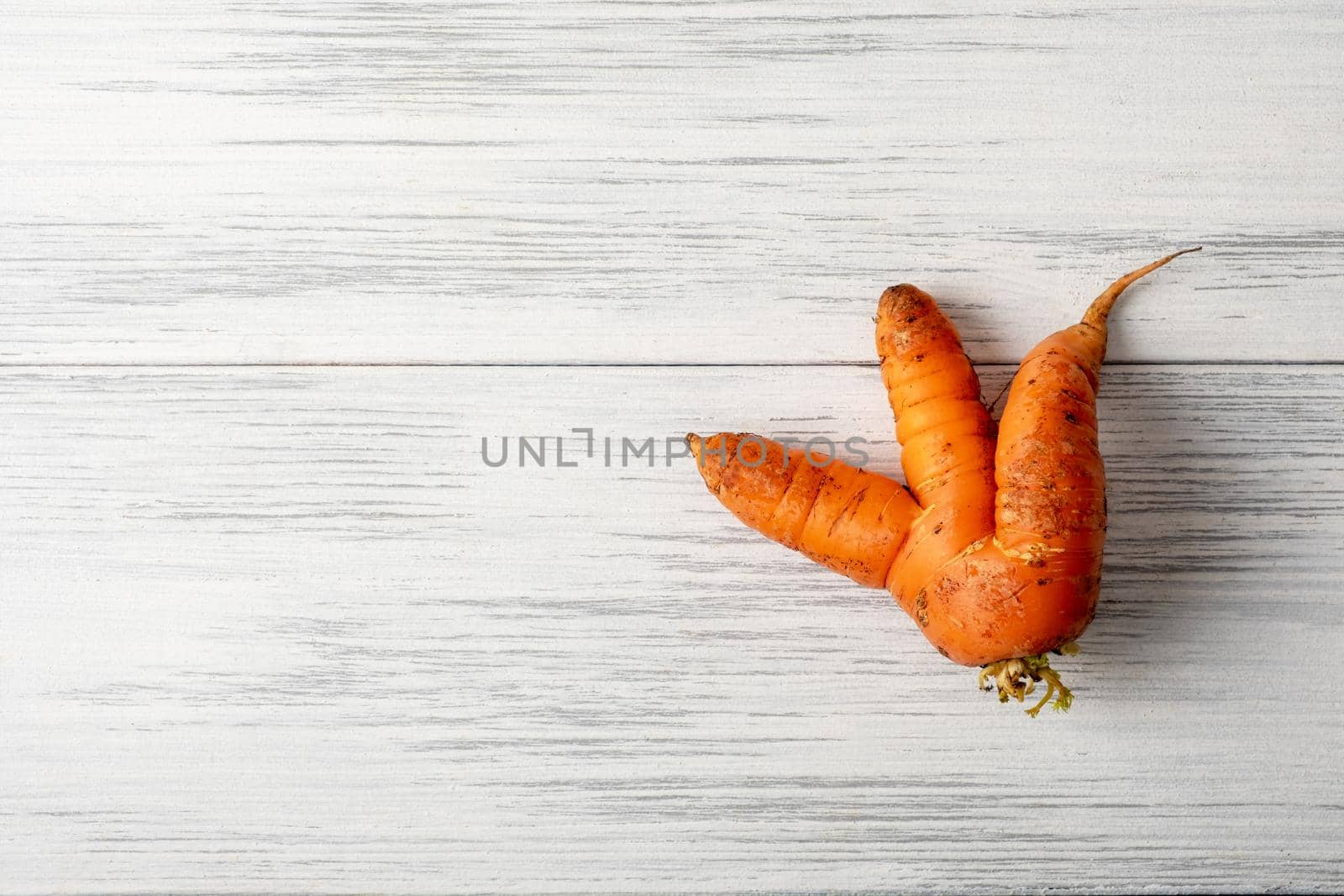 Top view close-up of ripe orange ugly carrots lie on a light wooden surface with copy space for text. Selective focus.