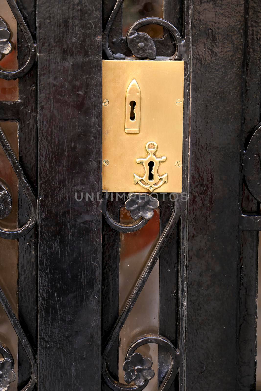 Black iron door modernist style with golden details by soniabonet