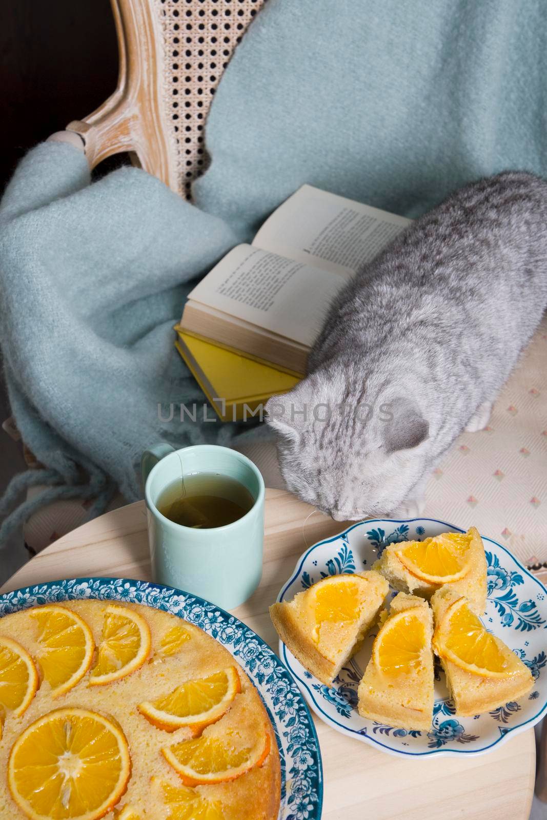 gray kitten sits in an armchair with a warm blanket and books and sniffs a warm blanket,a orange pie, cozy vibes, warm home environment. High quality photo