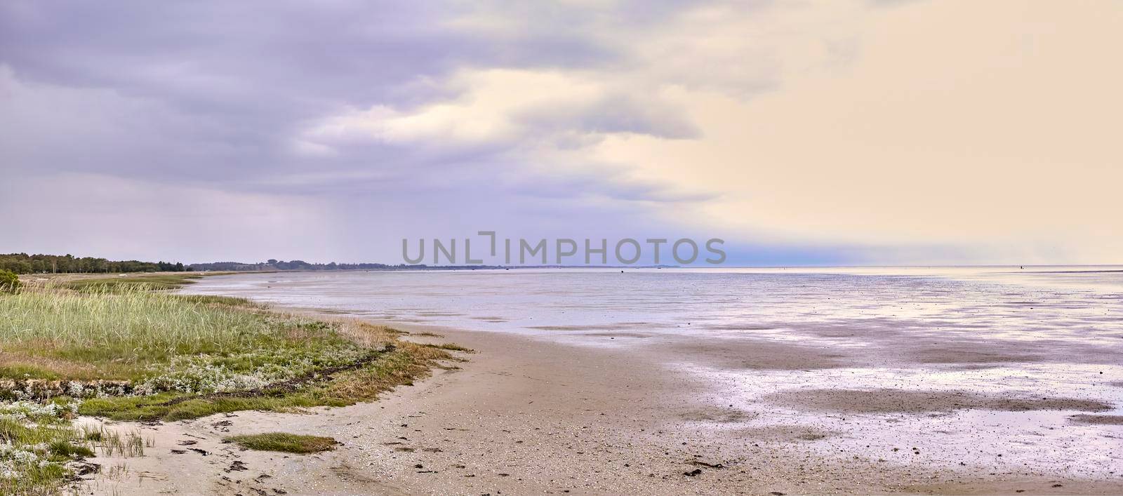 Beautiful, outdoors tidal and sand landscape at an empty beach in nature with clouds in the background. Outdoor natural view of sea water and green grass. Summer vacation day outside at the ocean. by YuriArcurs