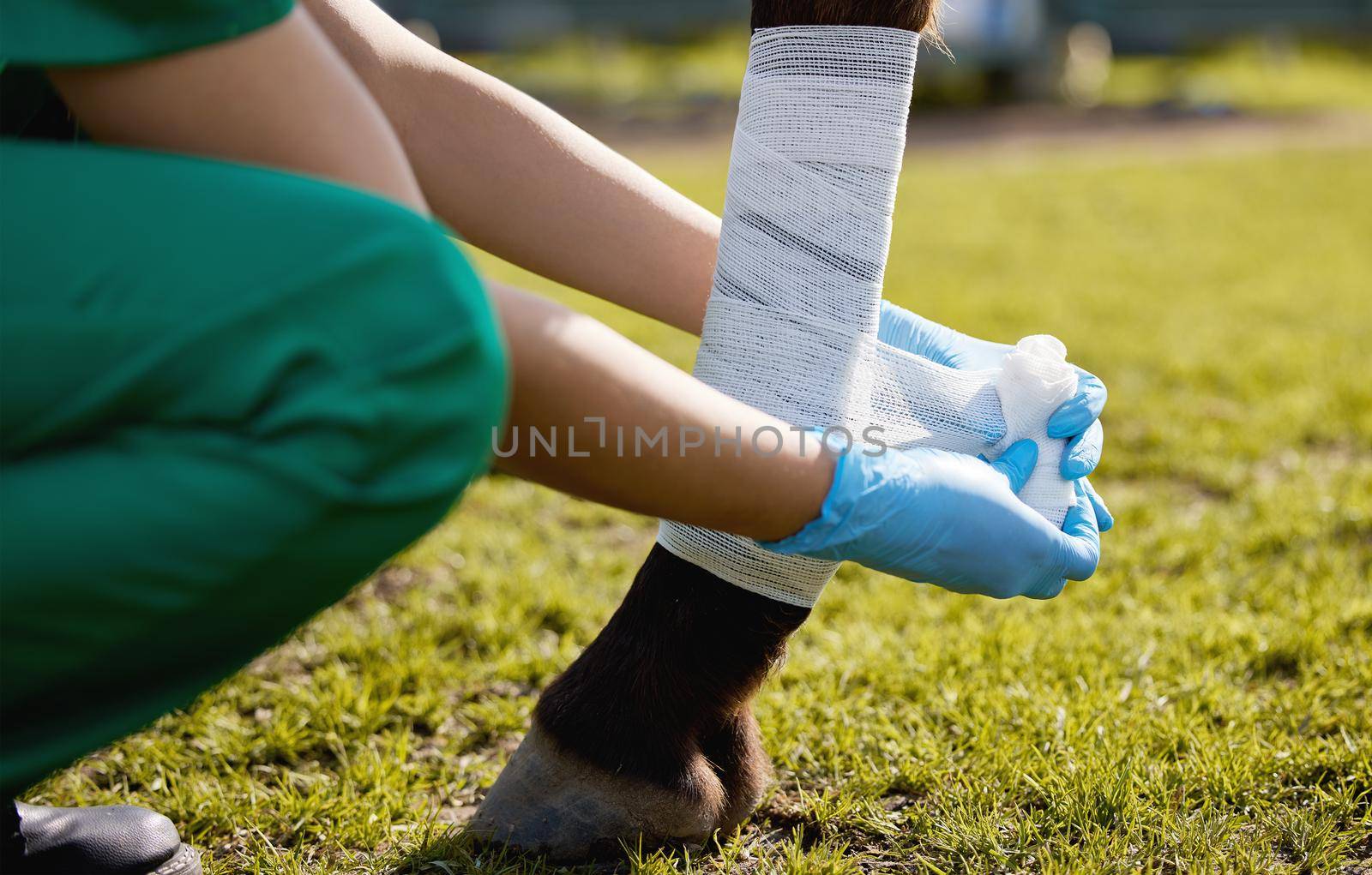 Animals are totally vulnerable they are dependent on us. a unrecognizable veterinarian putting a bandage on a horse on a farm