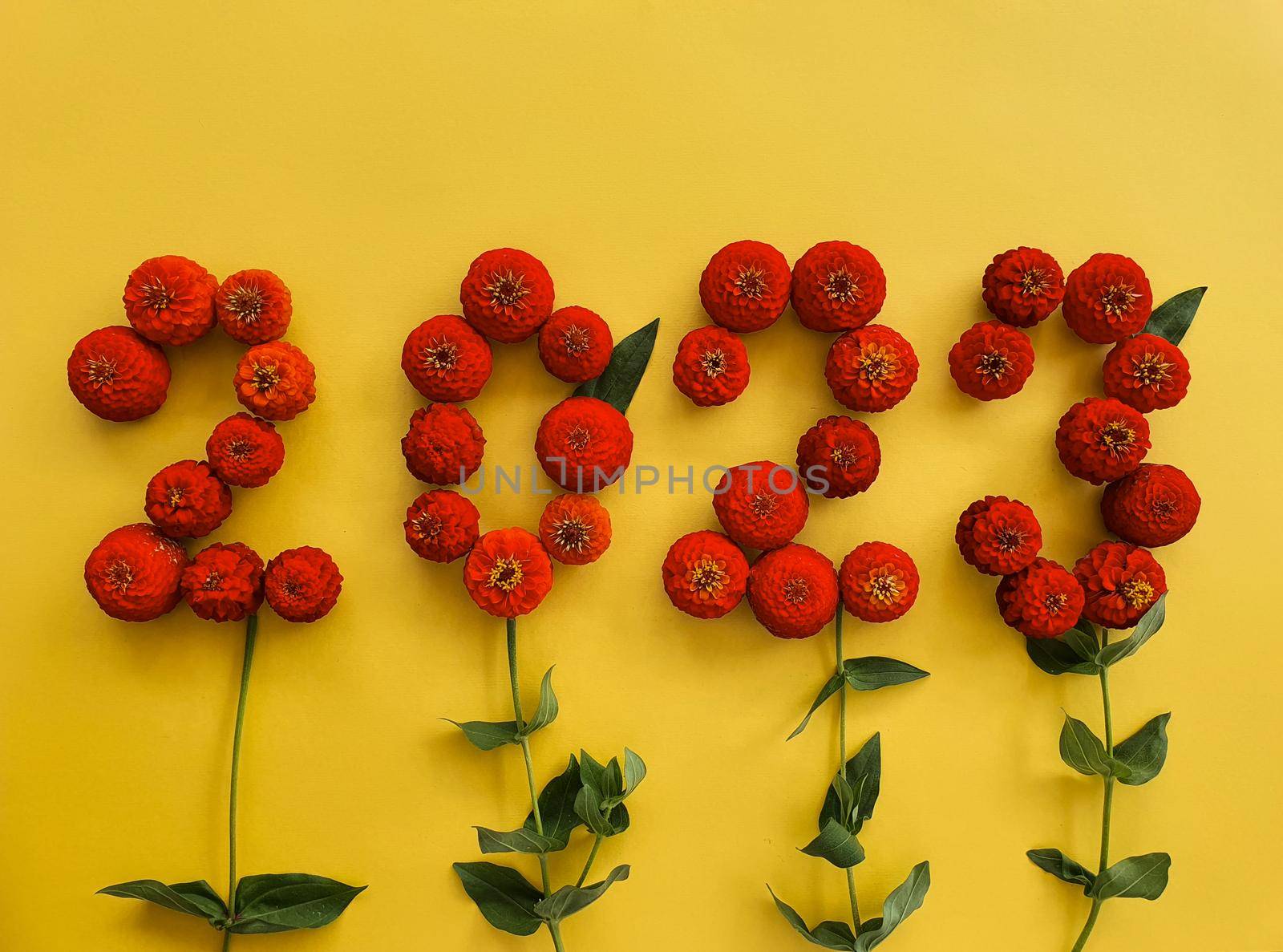 The numbers 2023 are laid out on a yellow background with red flowers of cynia. High quality photo