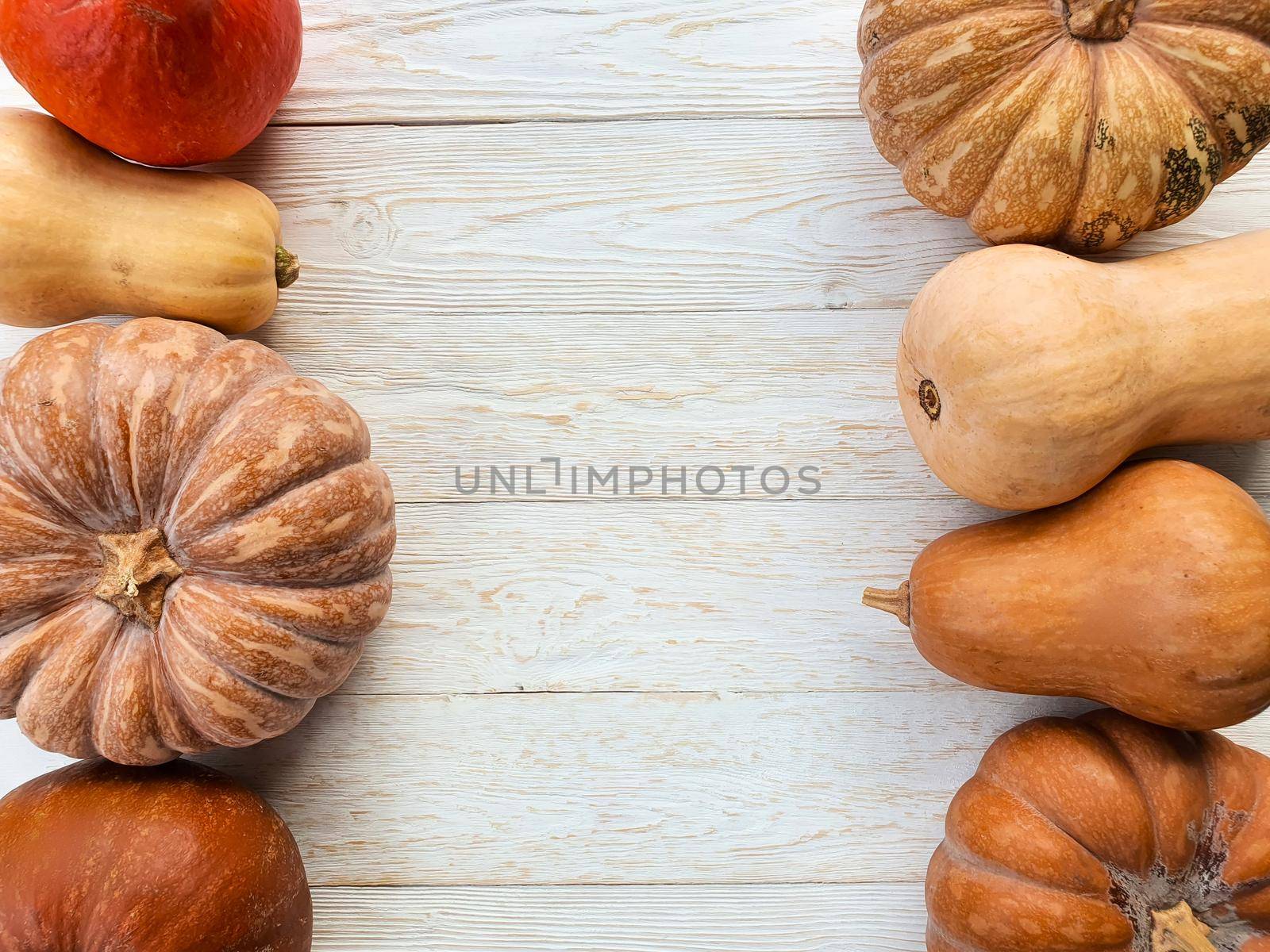various types of pumpkins lie on a light wooden table by Spirina